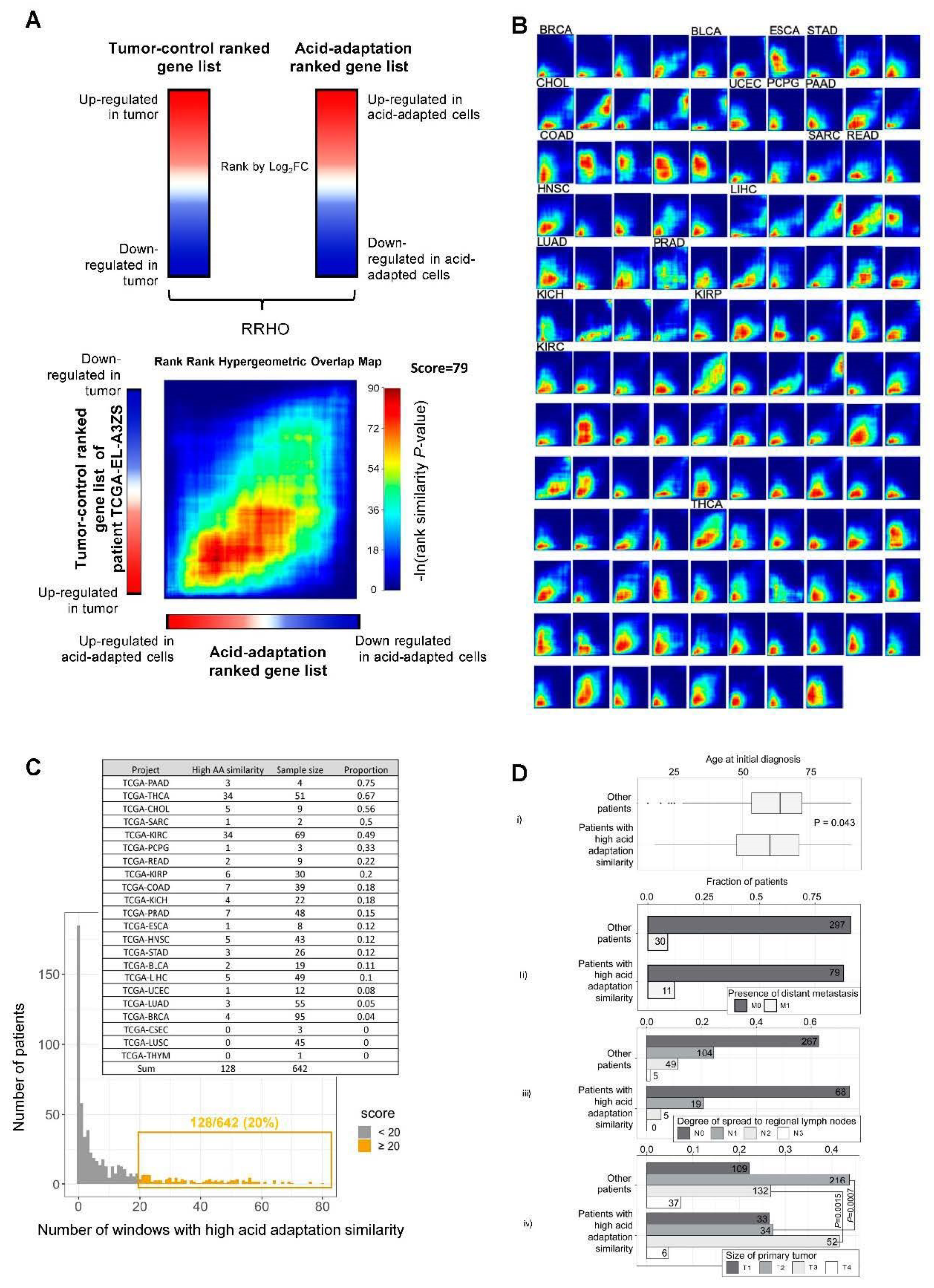 Cancers 12 02183 g004 Cancers 12 02183 g004