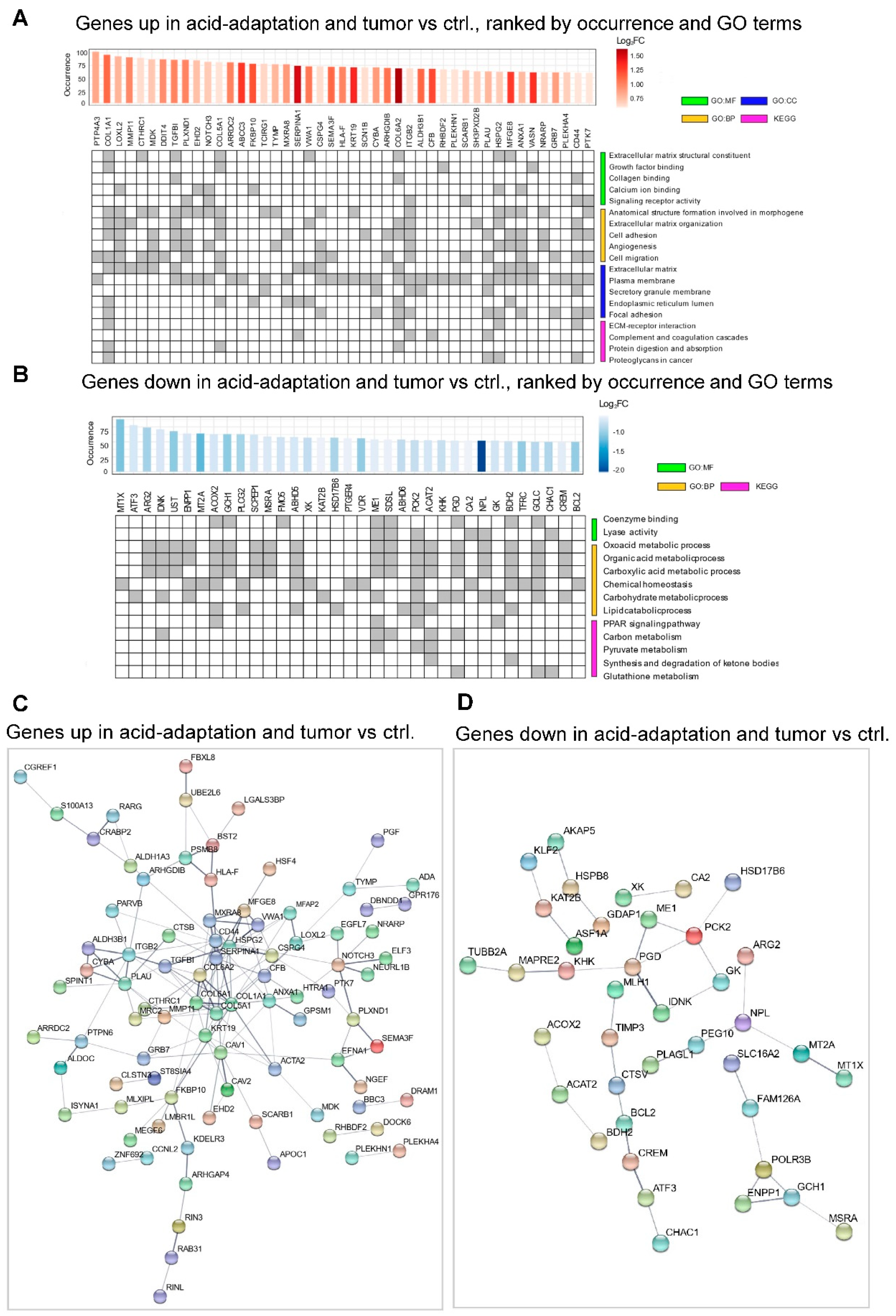 Cancers 12 02183 g005 Cancers 12 02183 g005