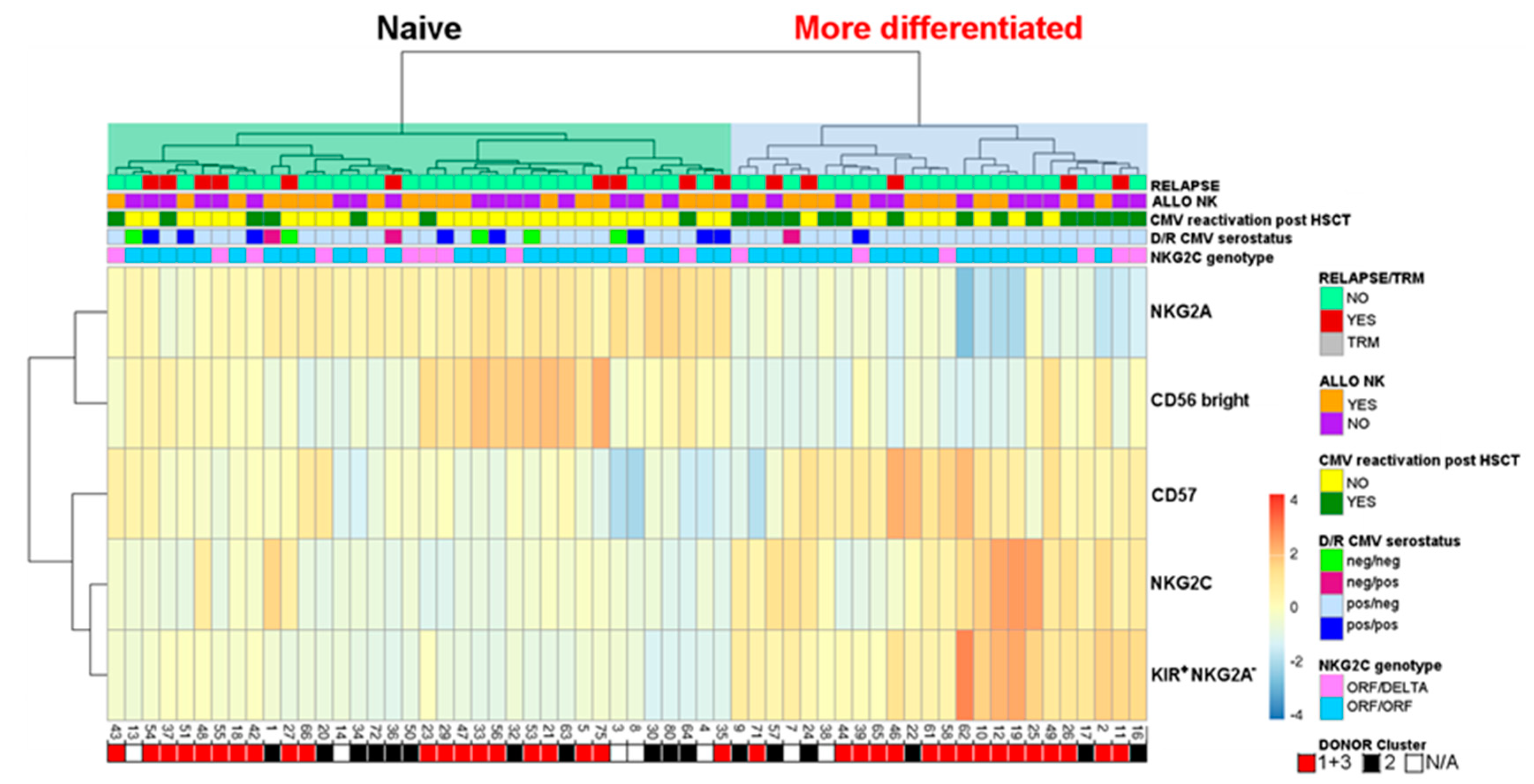 Cancers 12 02187 g004 Cancers 12 02187 g004