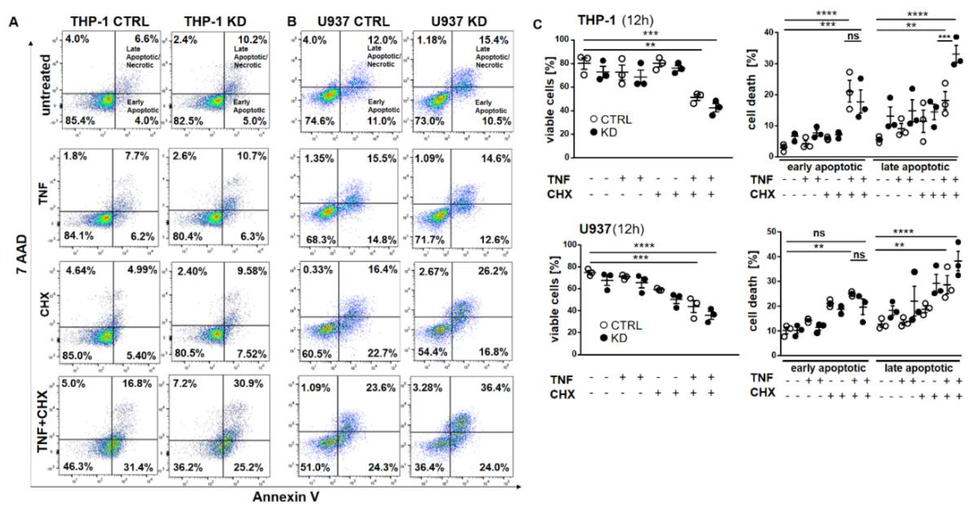 Cancers 12 02188 g003 Cancers 12 02188 g003