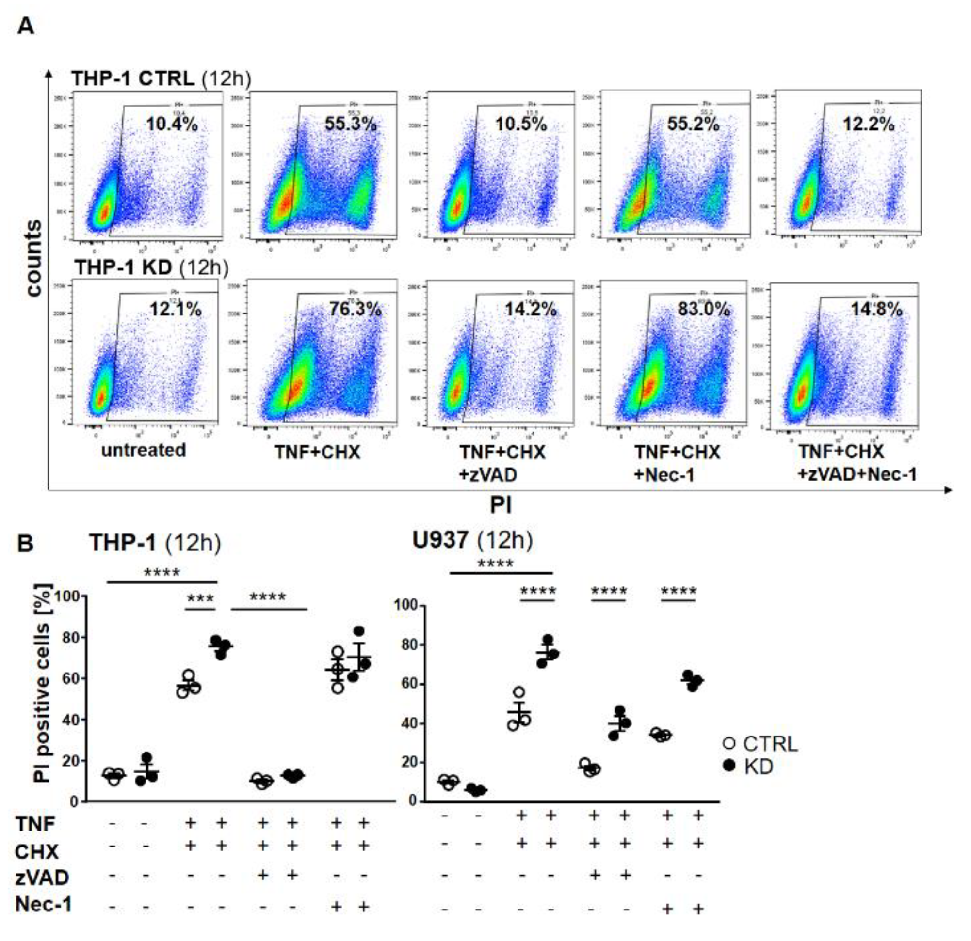 Cancers 12 02188 g006 Cancers 12 02188 g006
