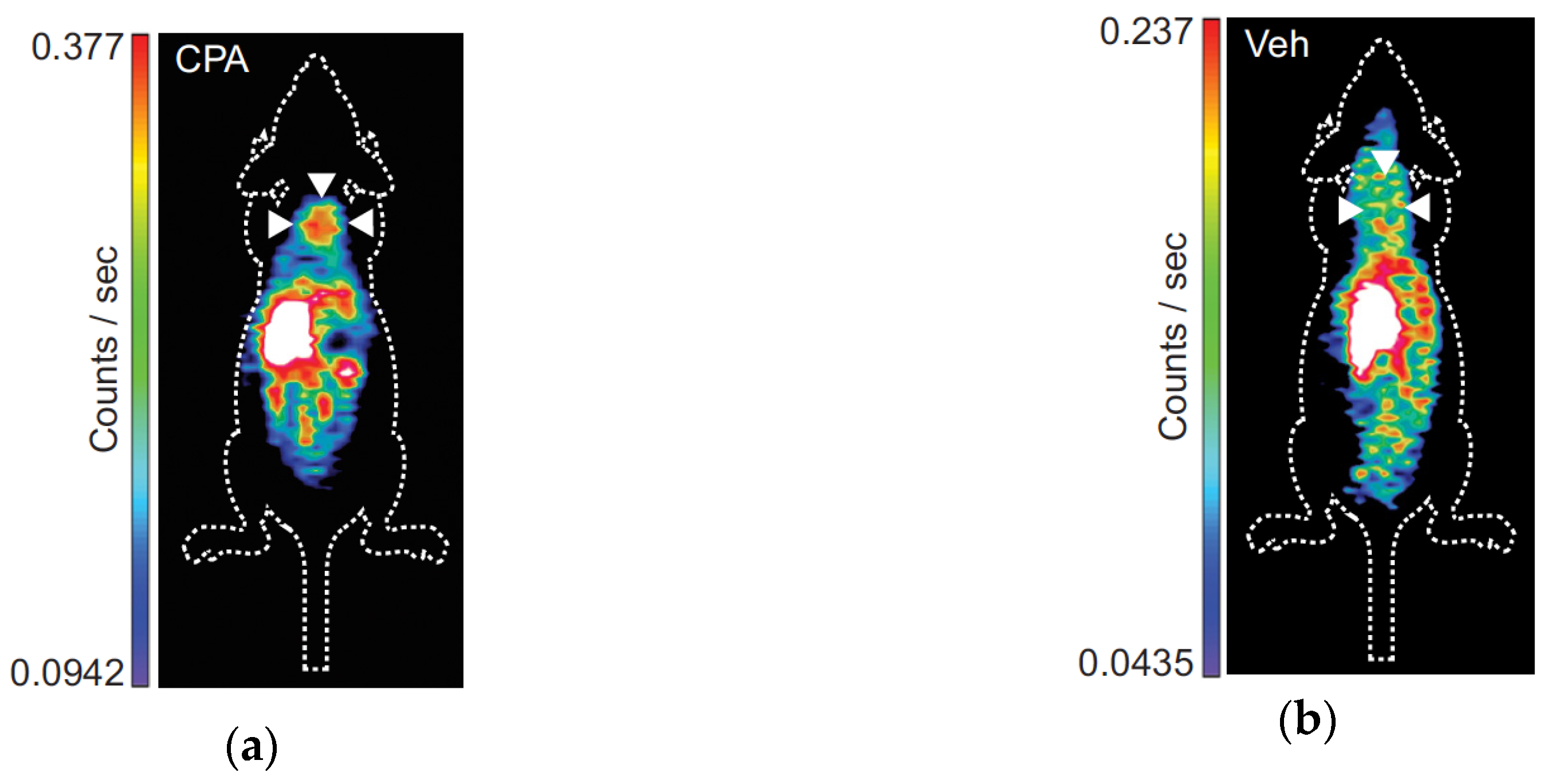 Cancers 12 02191 g005