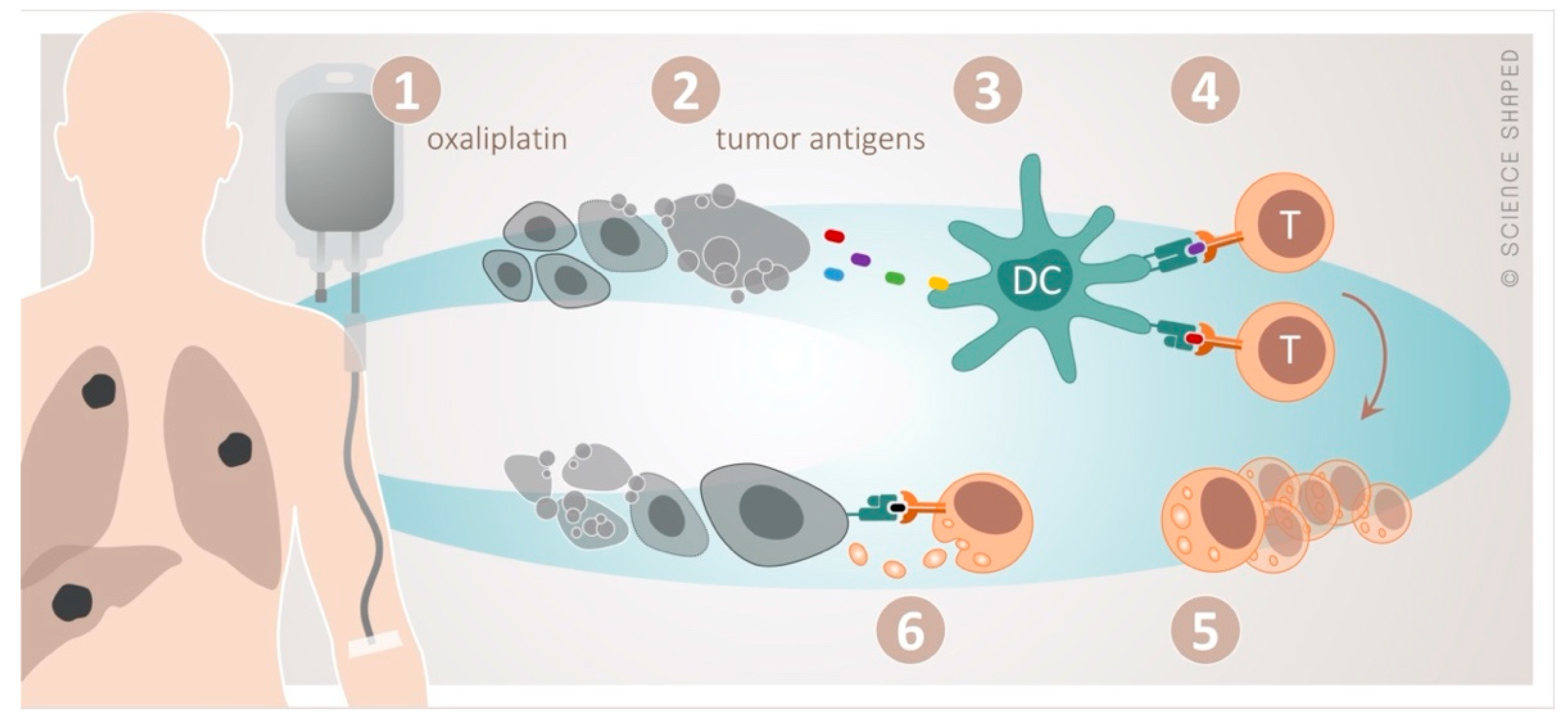 Cancers 12 02193 g001 Cancers 12 02193 g001
