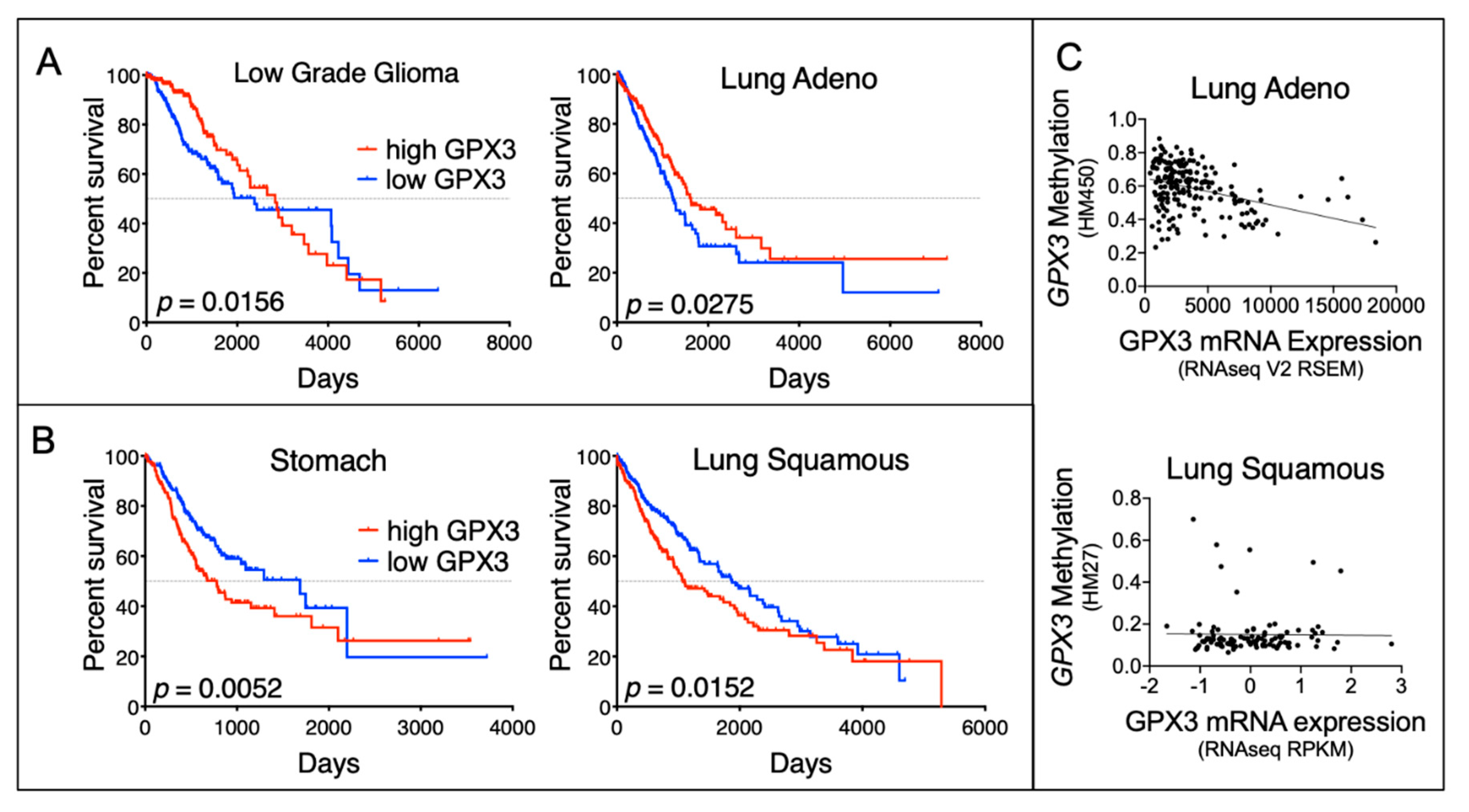 Cancers 12 02197 g003
