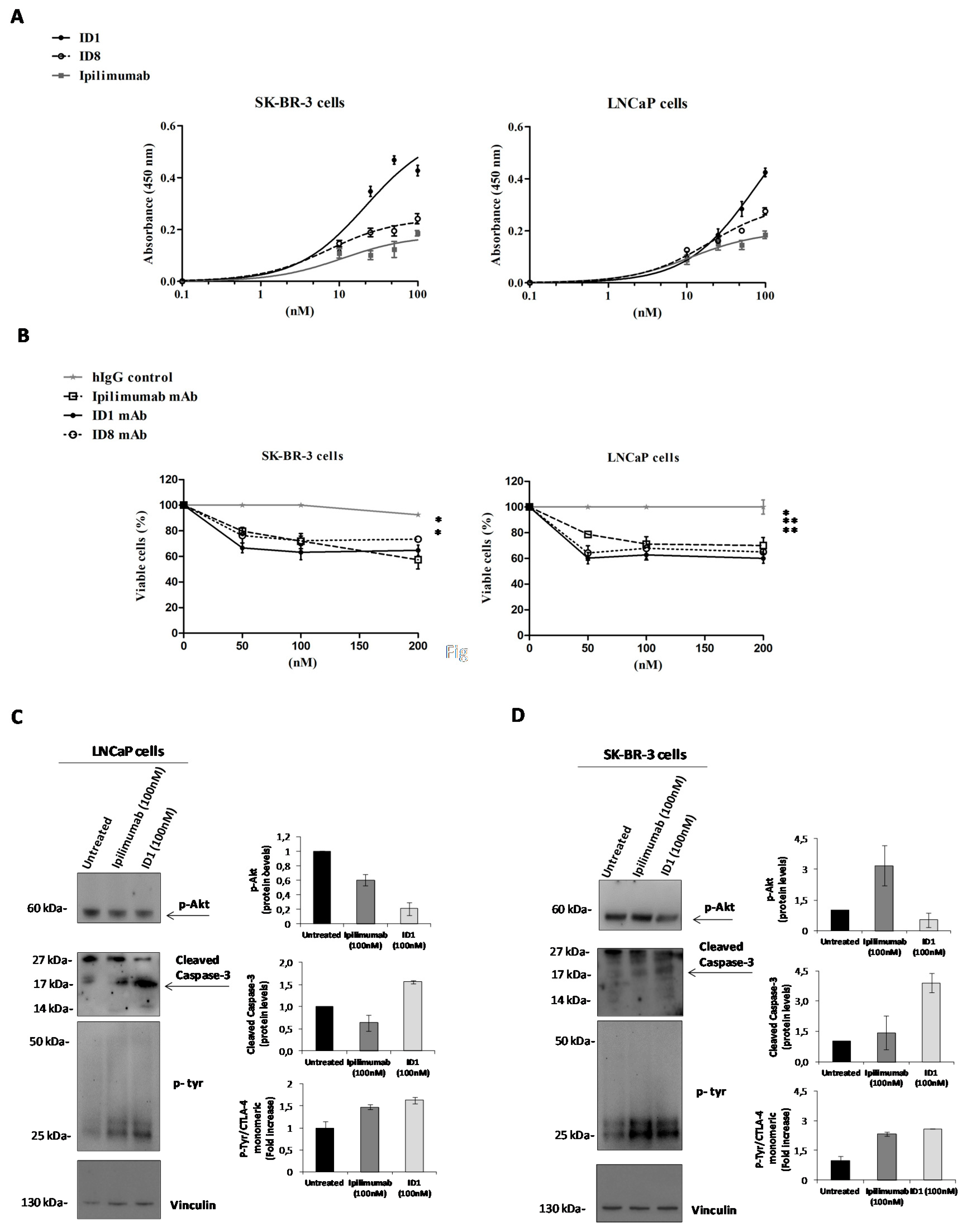 Cancers 12 02204 g007