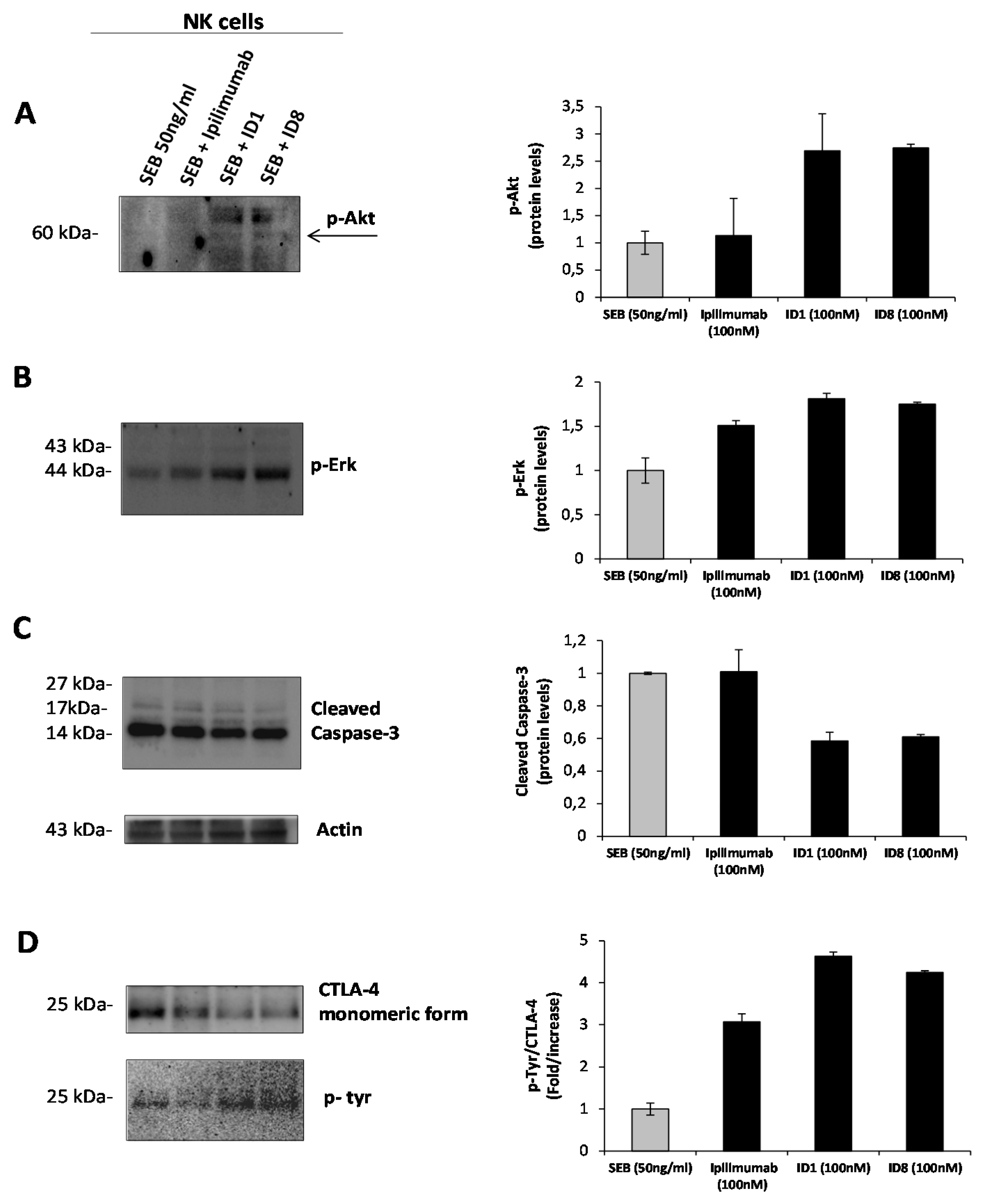 Cancers 12 02204 g009