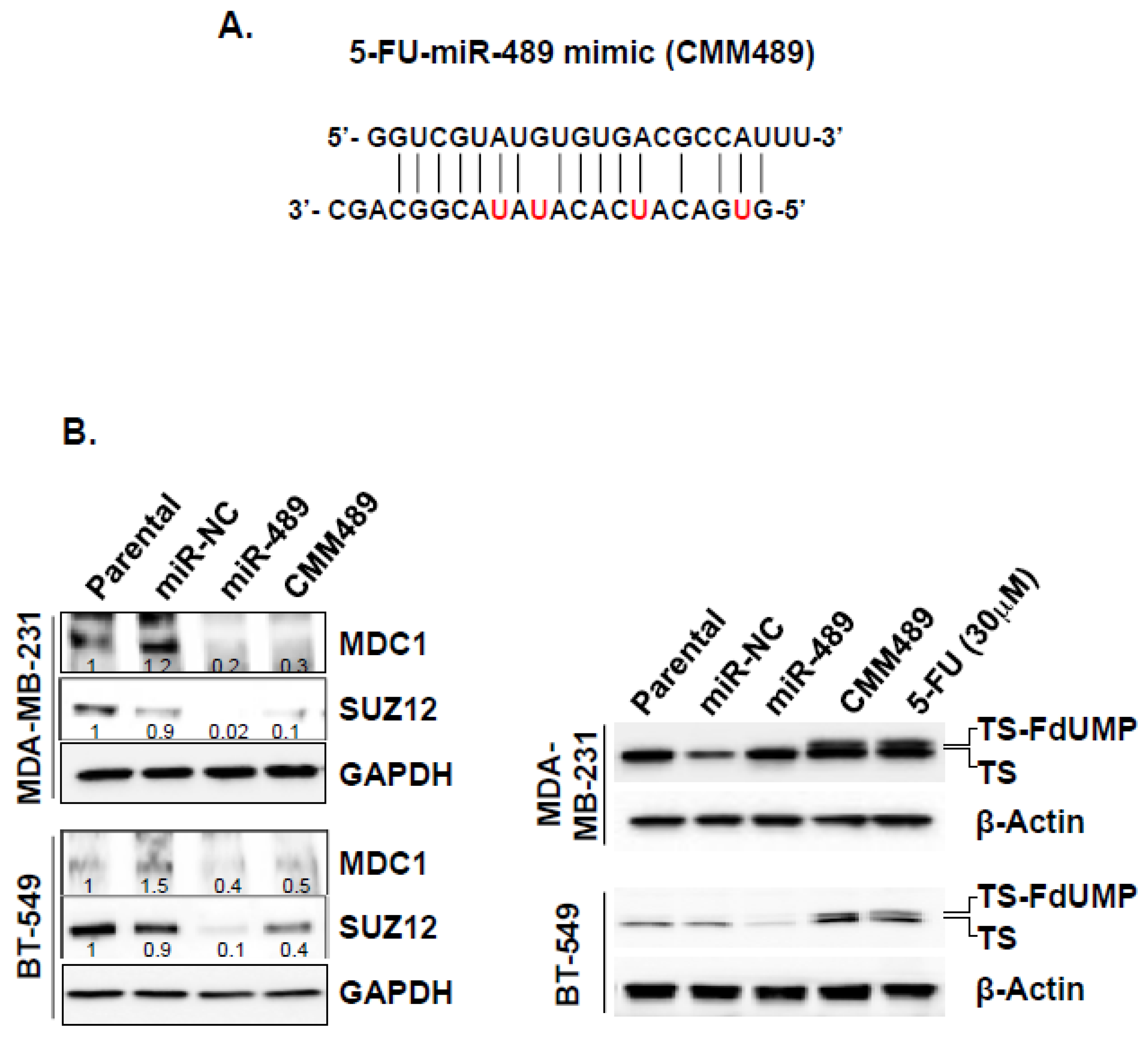Cancers 12 02209 g003a