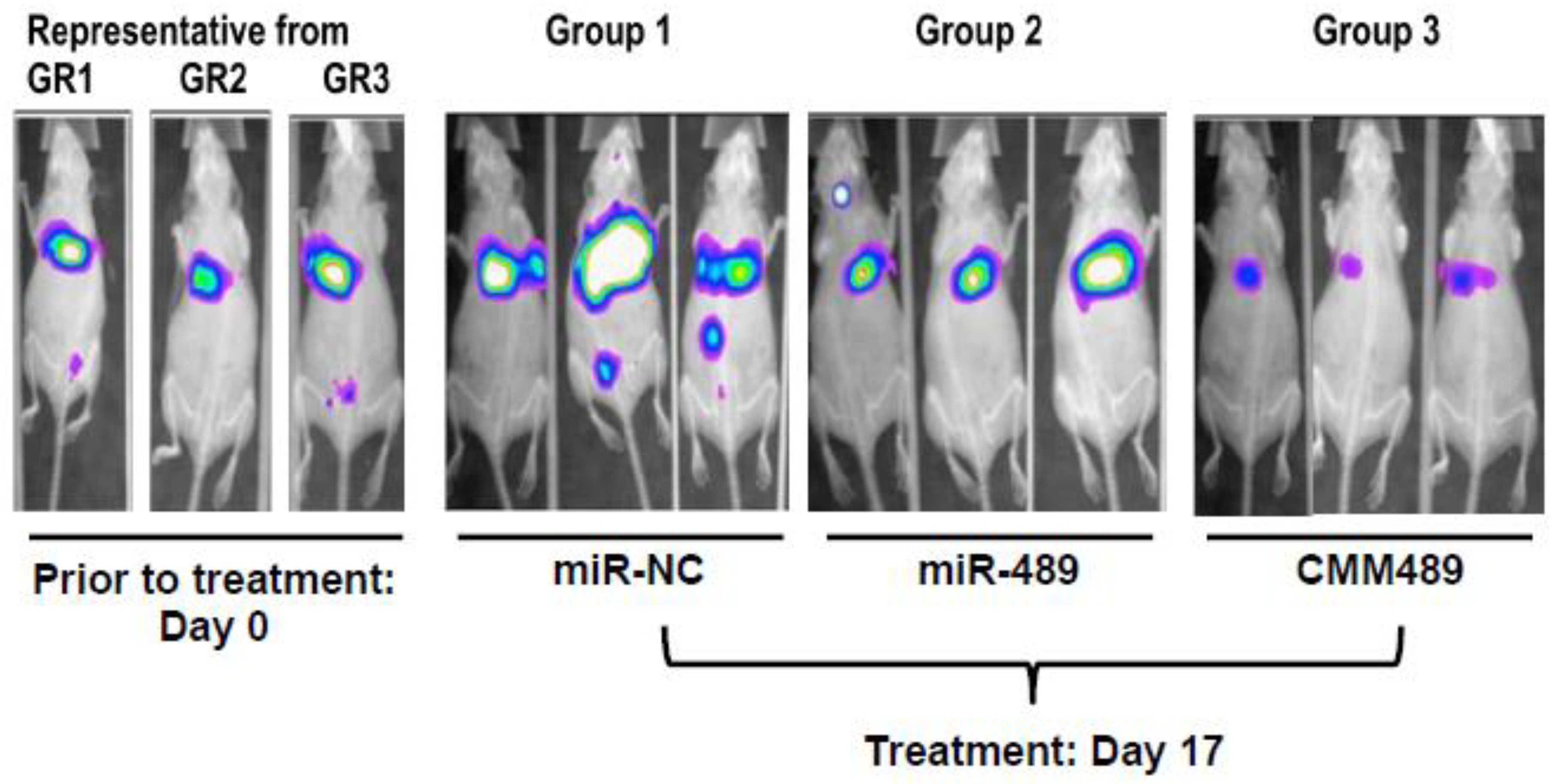 Cancers 12 02209 g005