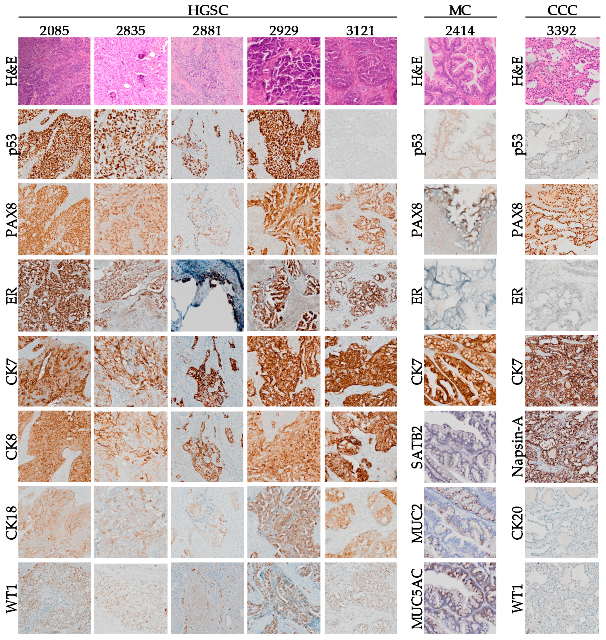 Cancers 12 02222 g003