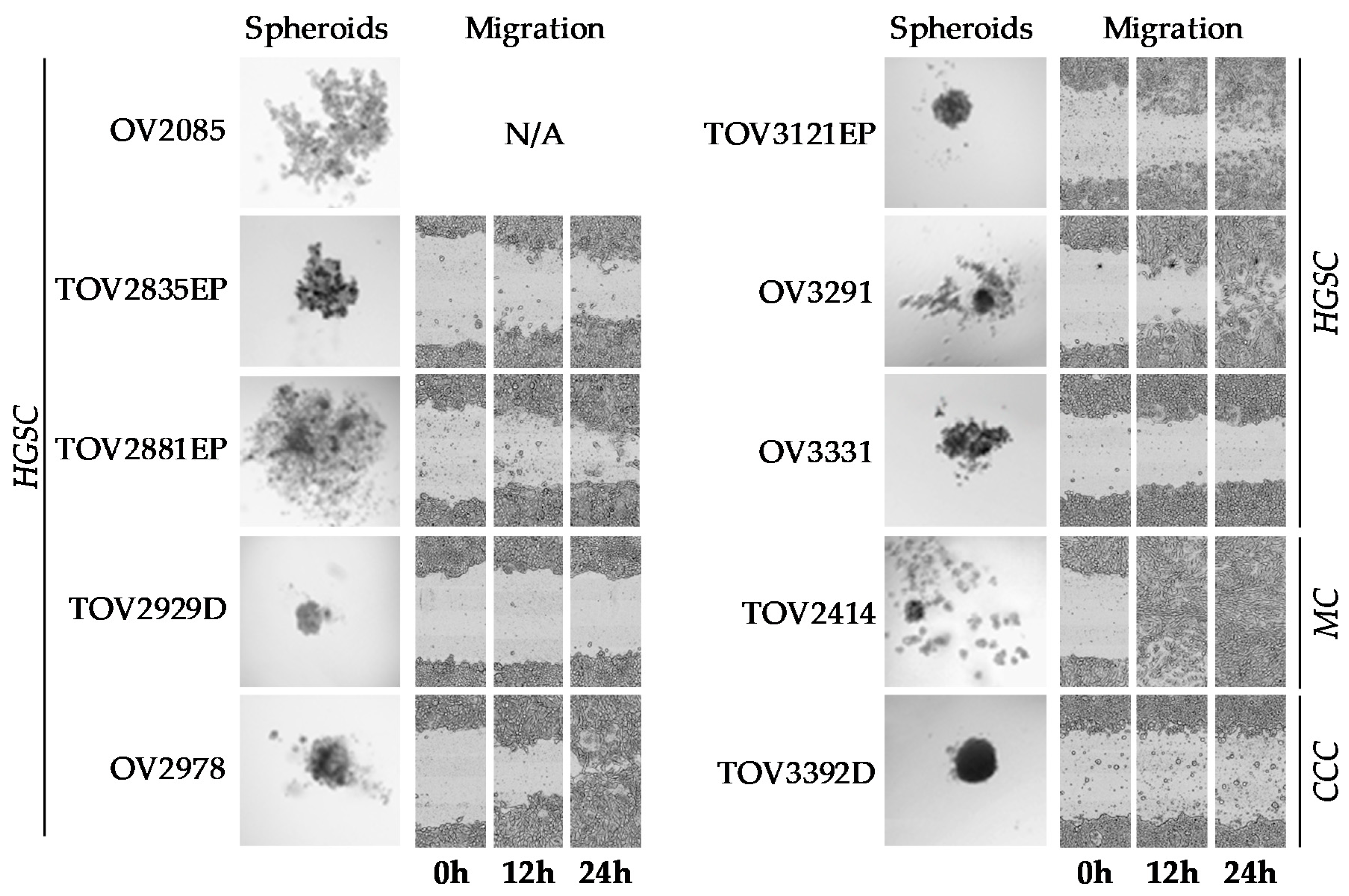 Cancers 12 02222 g006