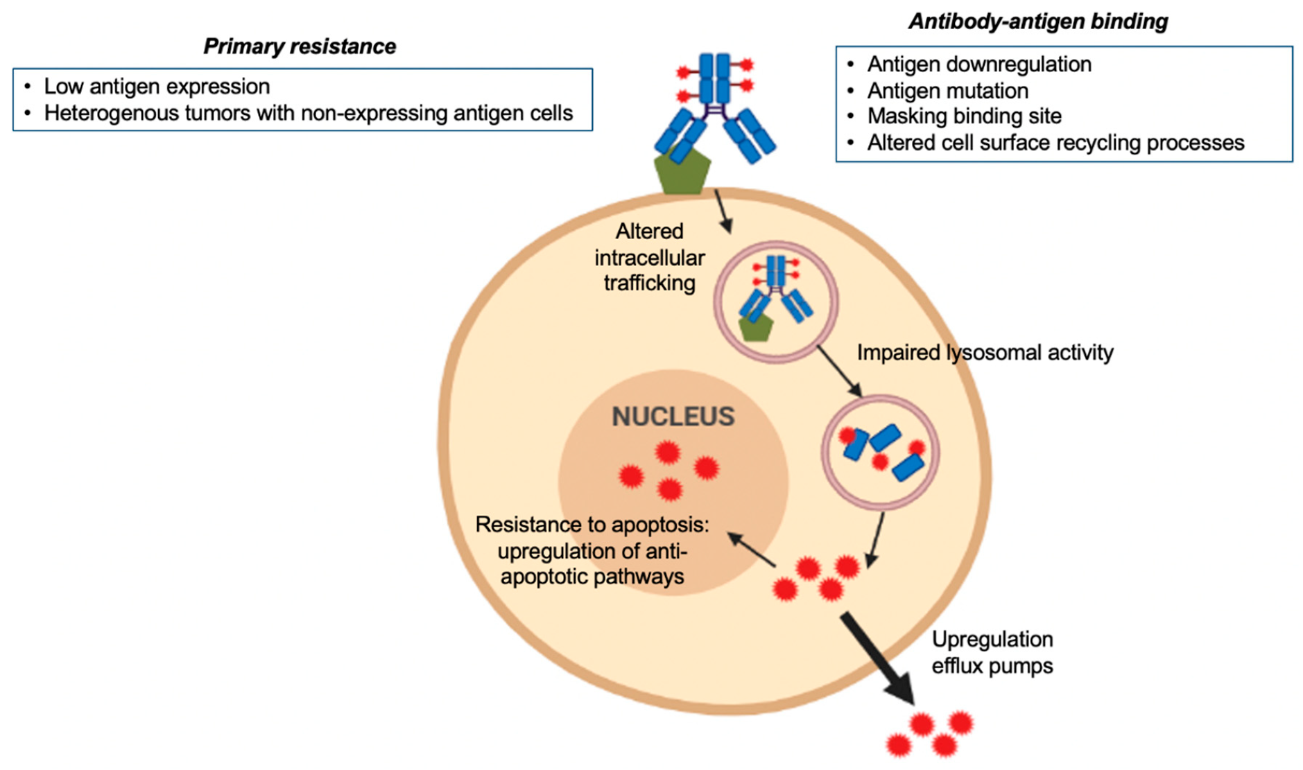 Cancers 12 02223 g001 Cancers 12 02223 g001