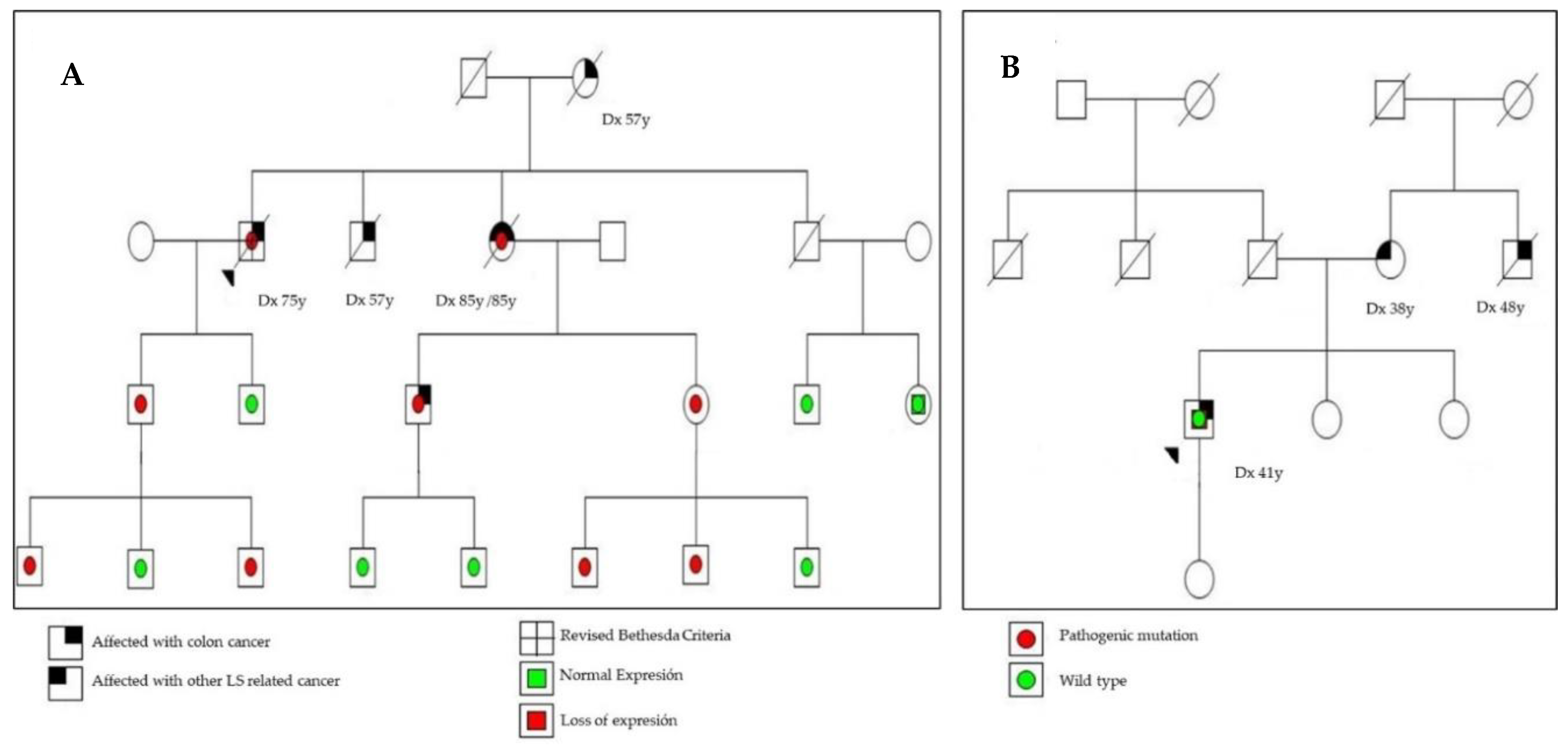 Cancers 12 02225 g002 Cancers 12 02225 g002