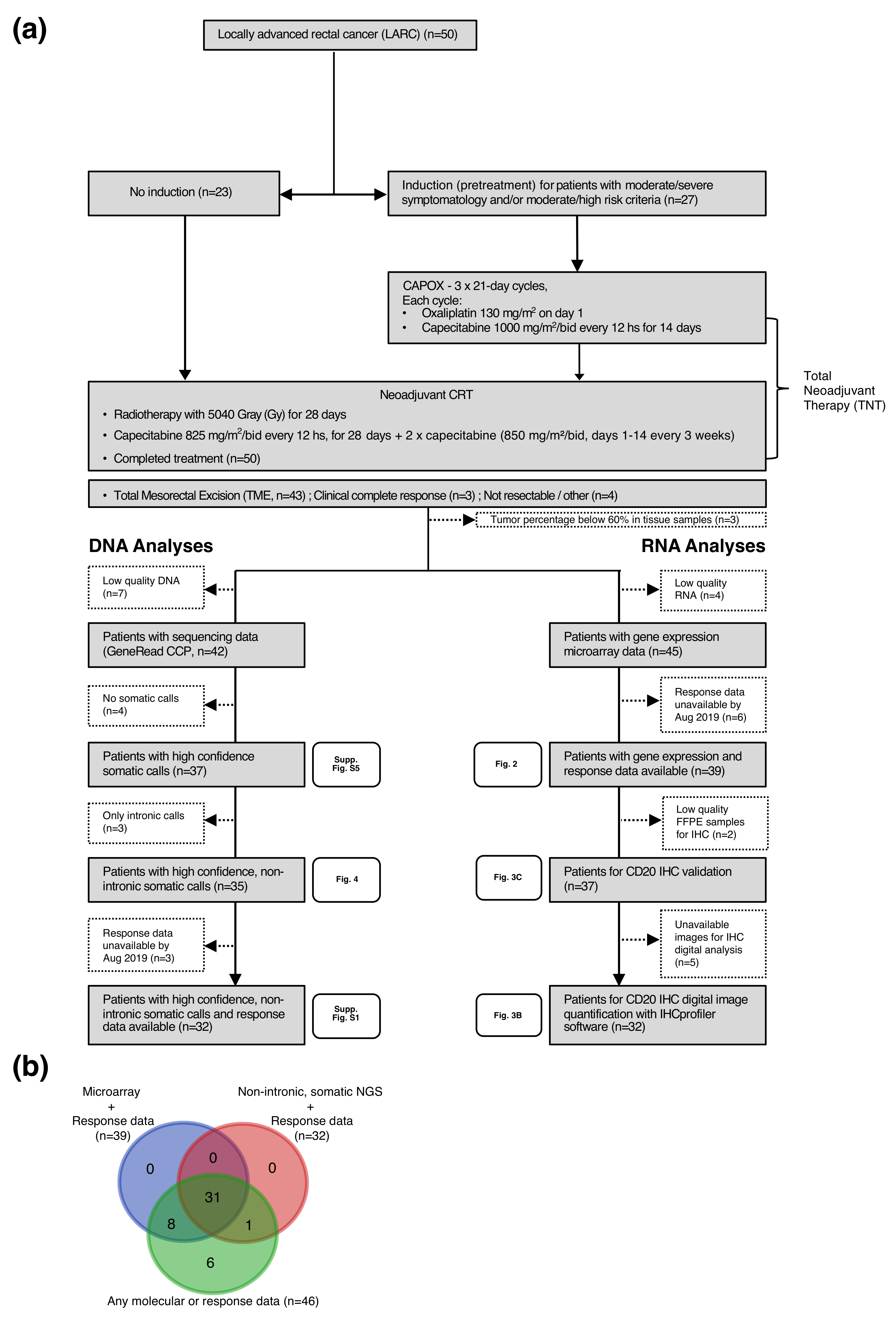 Cancers 12 02227 g001 Cancers 12 02227 g001