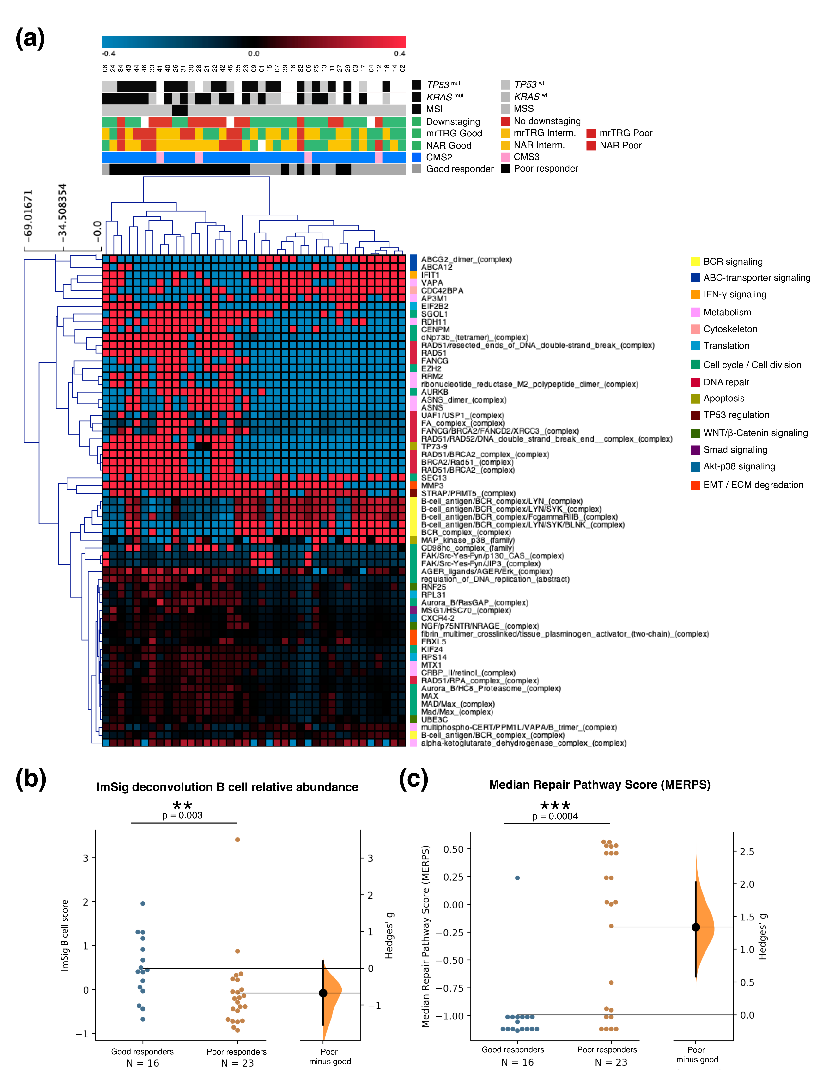 Cancers 12 02227 g002 Cancers 12 02227 g002