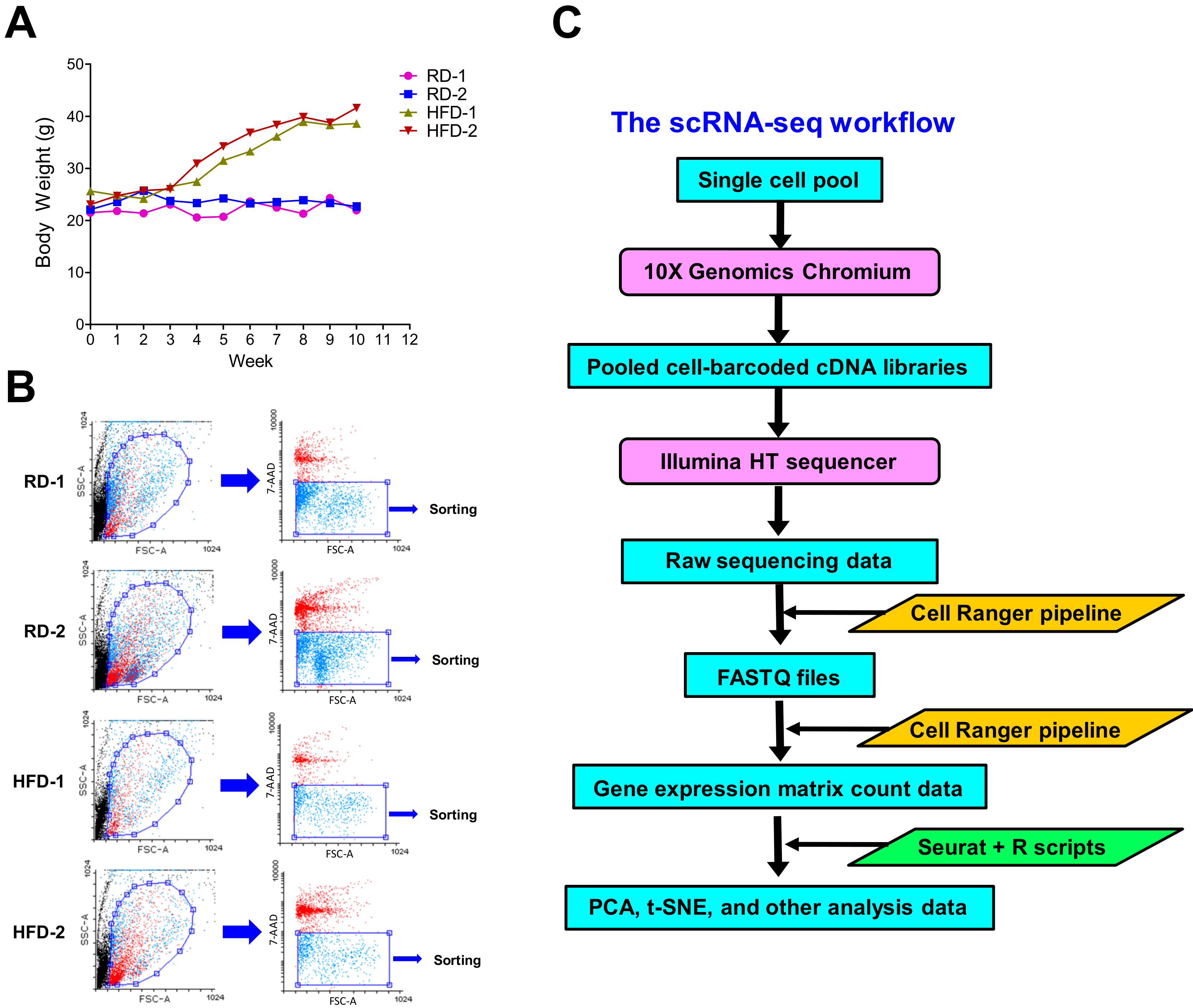 Cancers 12 02235 g001 Cancers 12 02235 g001