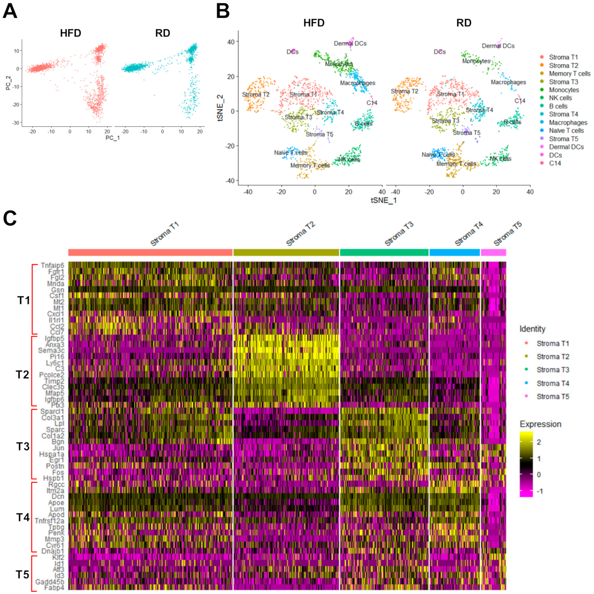 Cancers 12 02235 g002 Cancers 12 02235 g002