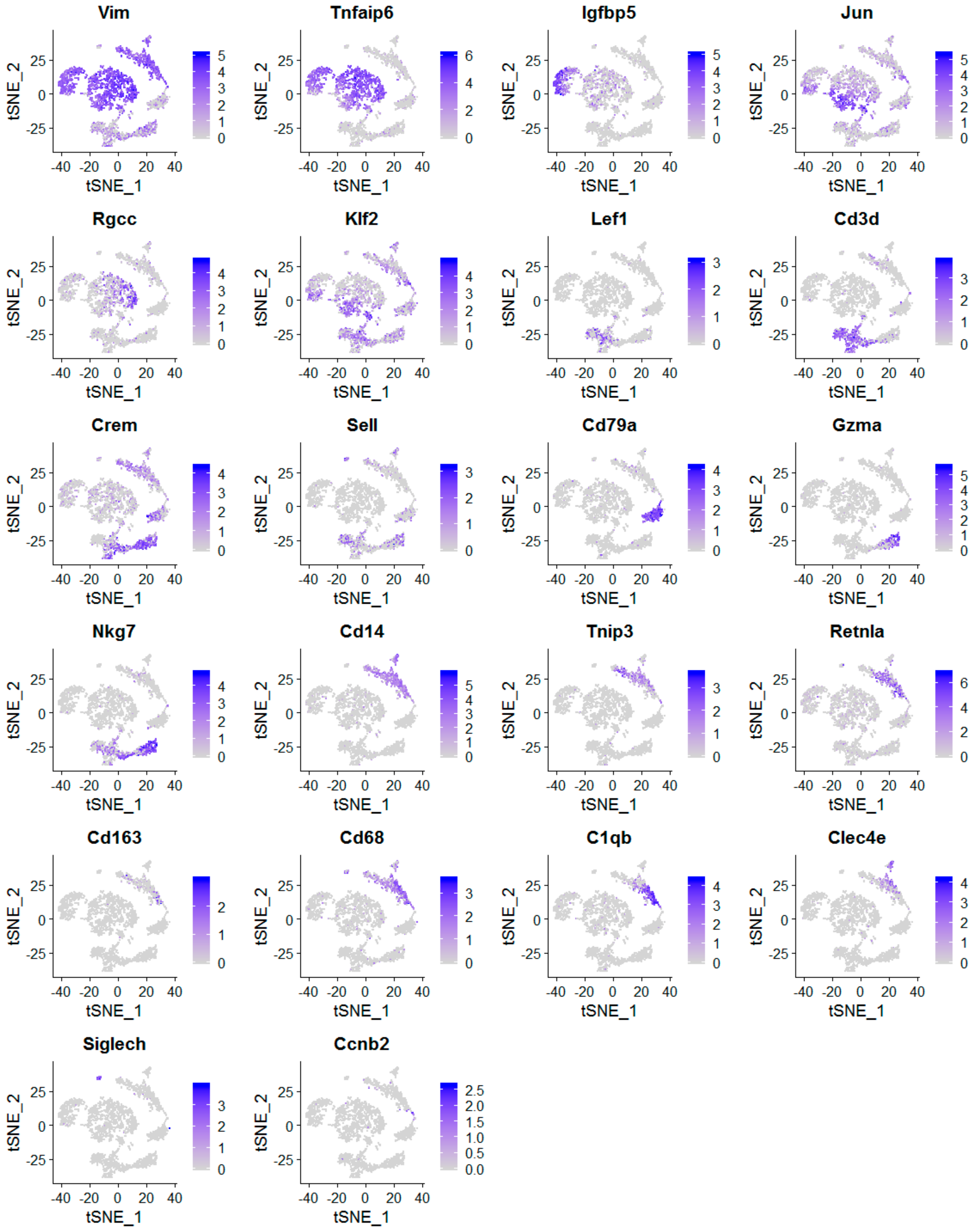 Cancers 12 02235 g004 Cancers 12 02235 g004