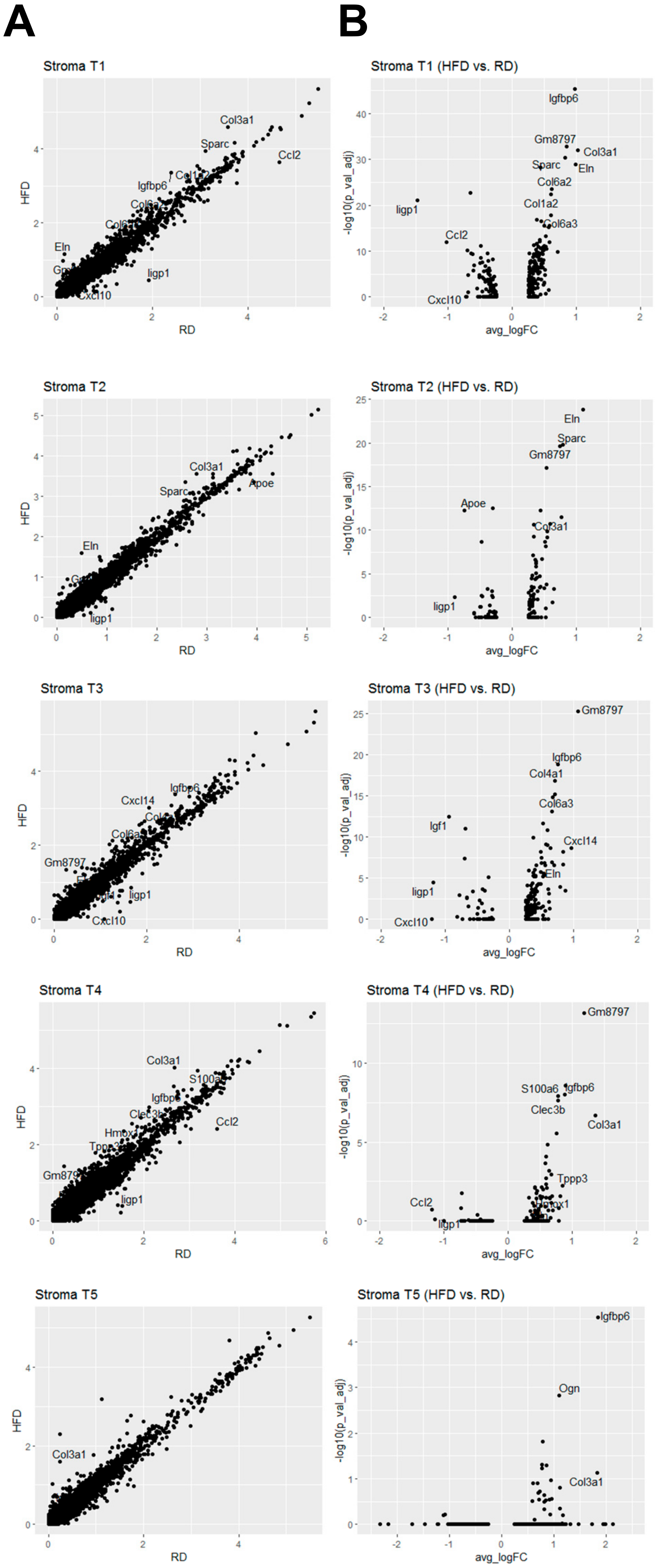 Cancers 12 02235 g006 Cancers 12 02235 g006