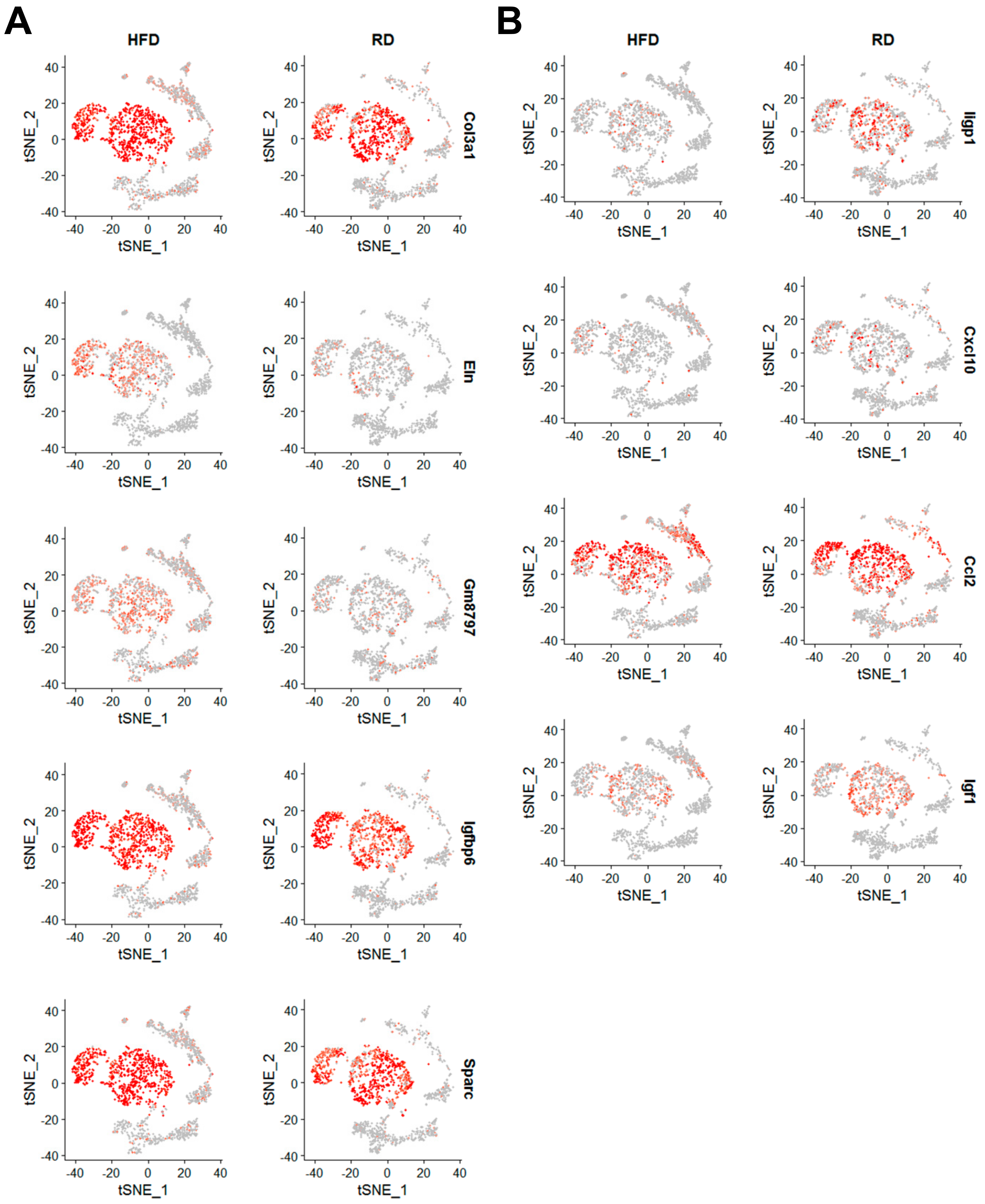 Cancers 12 02235 g007 Cancers 12 02235 g007