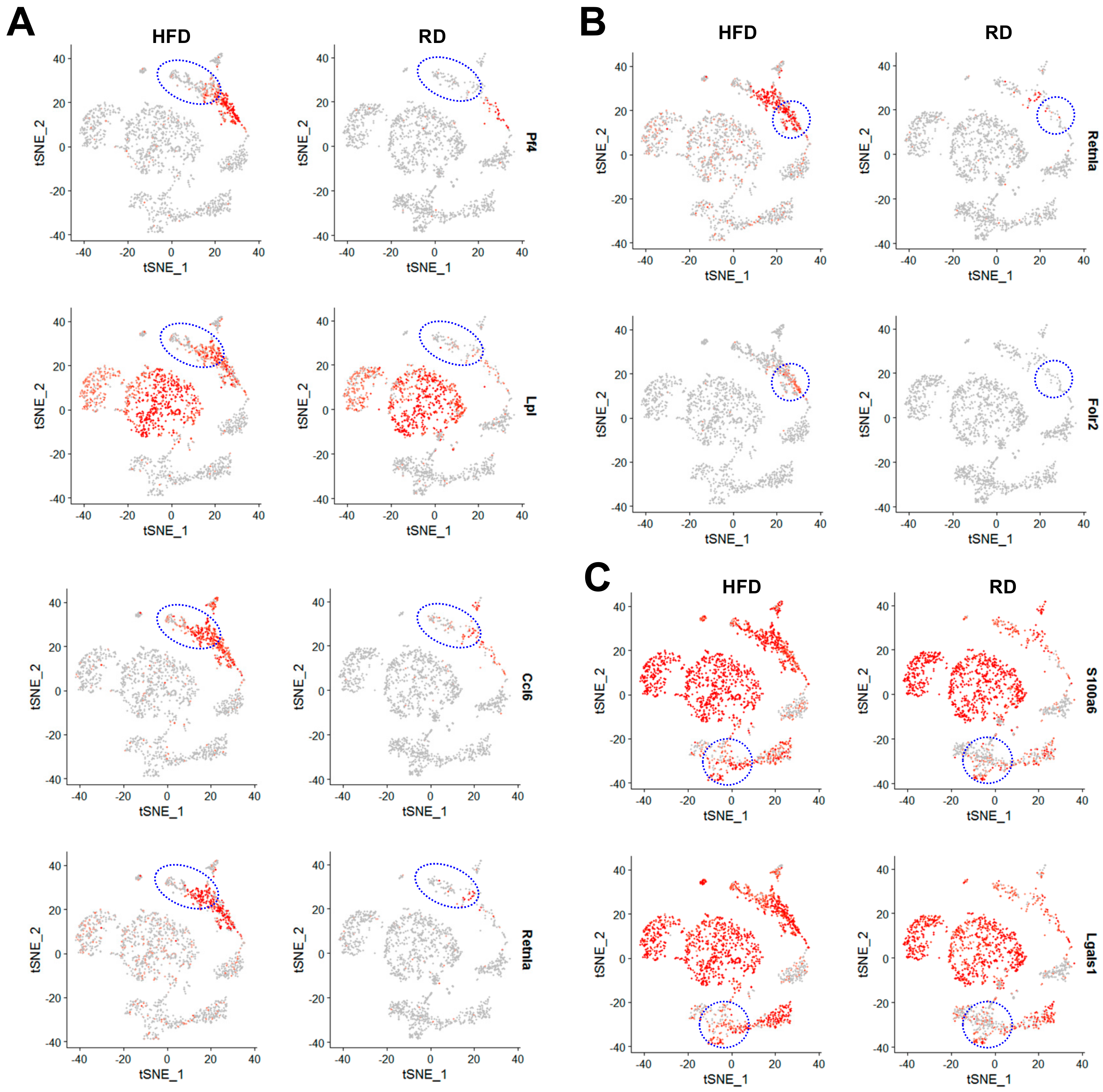 Cancers 12 02235 g009 Cancers 12 02235 g009