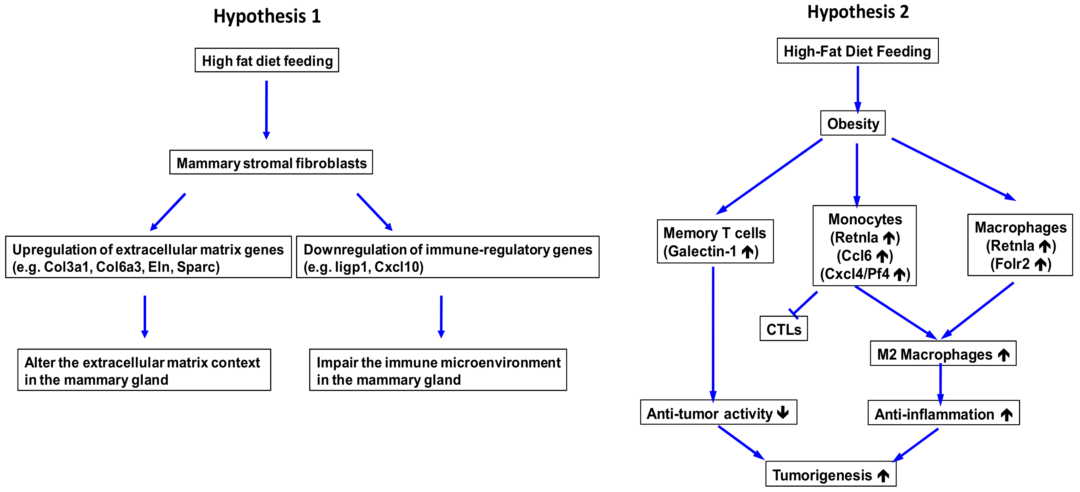 Cancers 12 02235 g010 Cancers 12 02235 g010