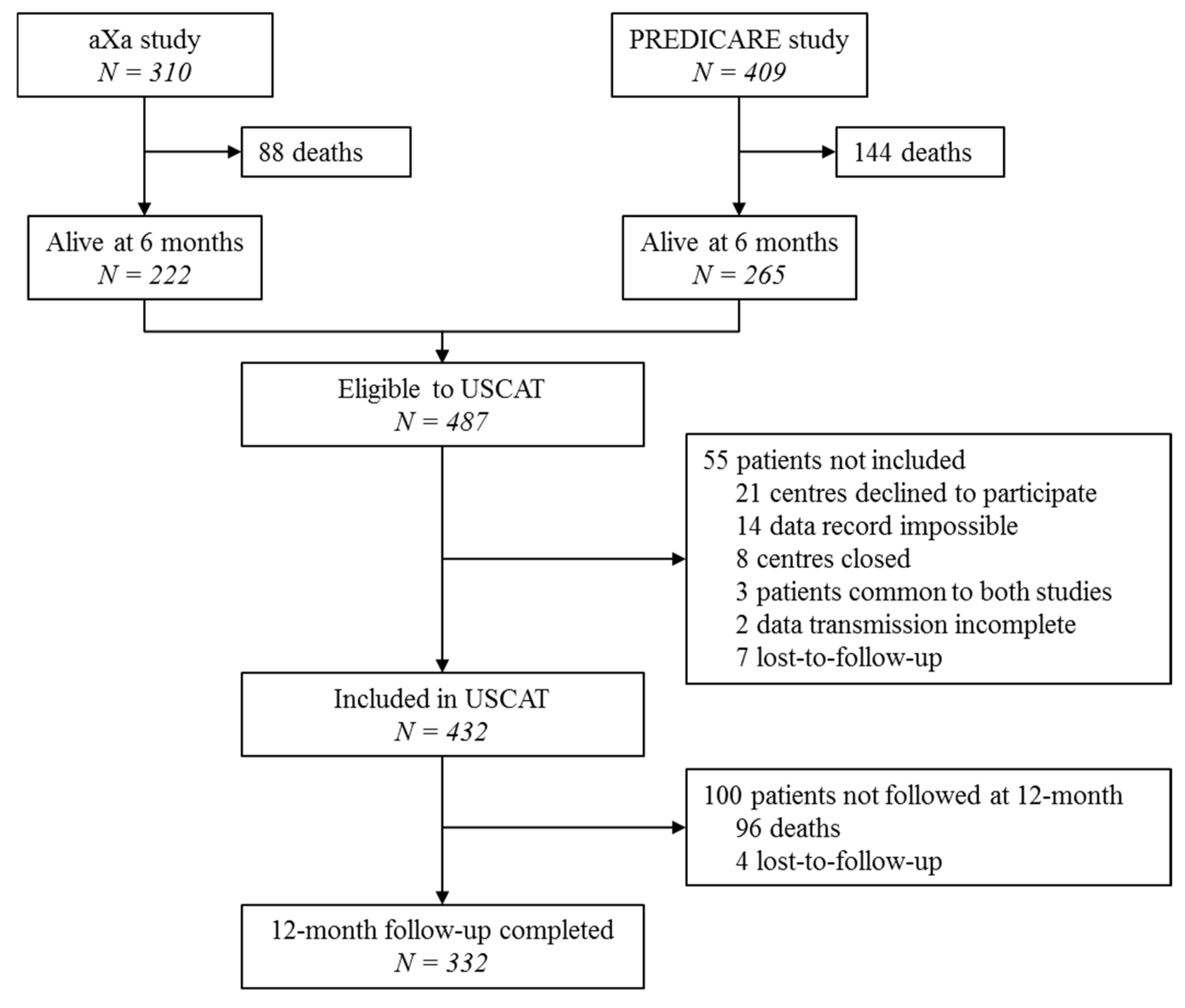福袋 売れ残り Treatment Long-Term of (CAT Thrombosis Cancer-Associated 語学+参考書