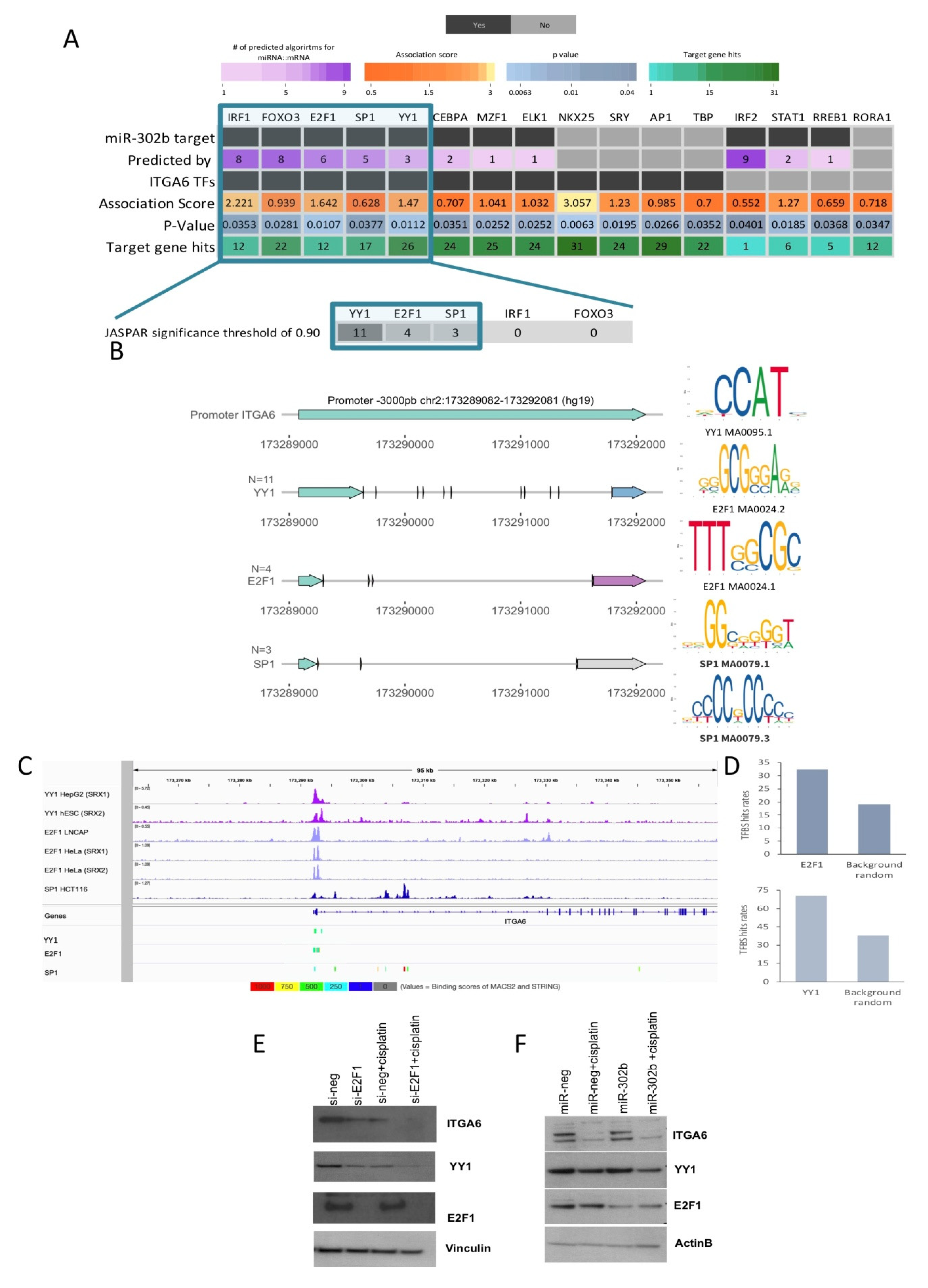 Cancers 12 02261 g004 Cancers 12 02261 g004