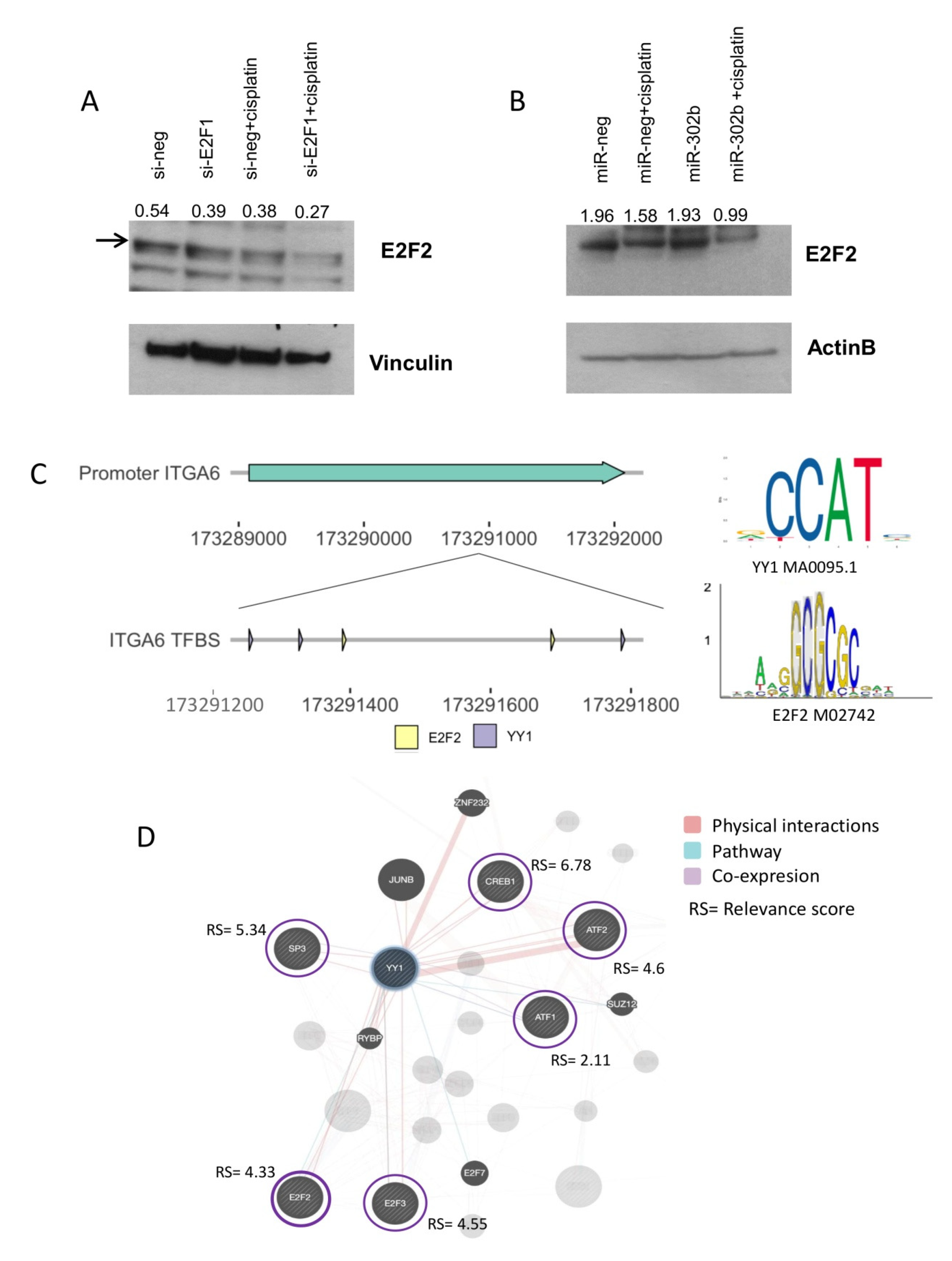 Cancers 12 02261 g005 Cancers 12 02261 g005