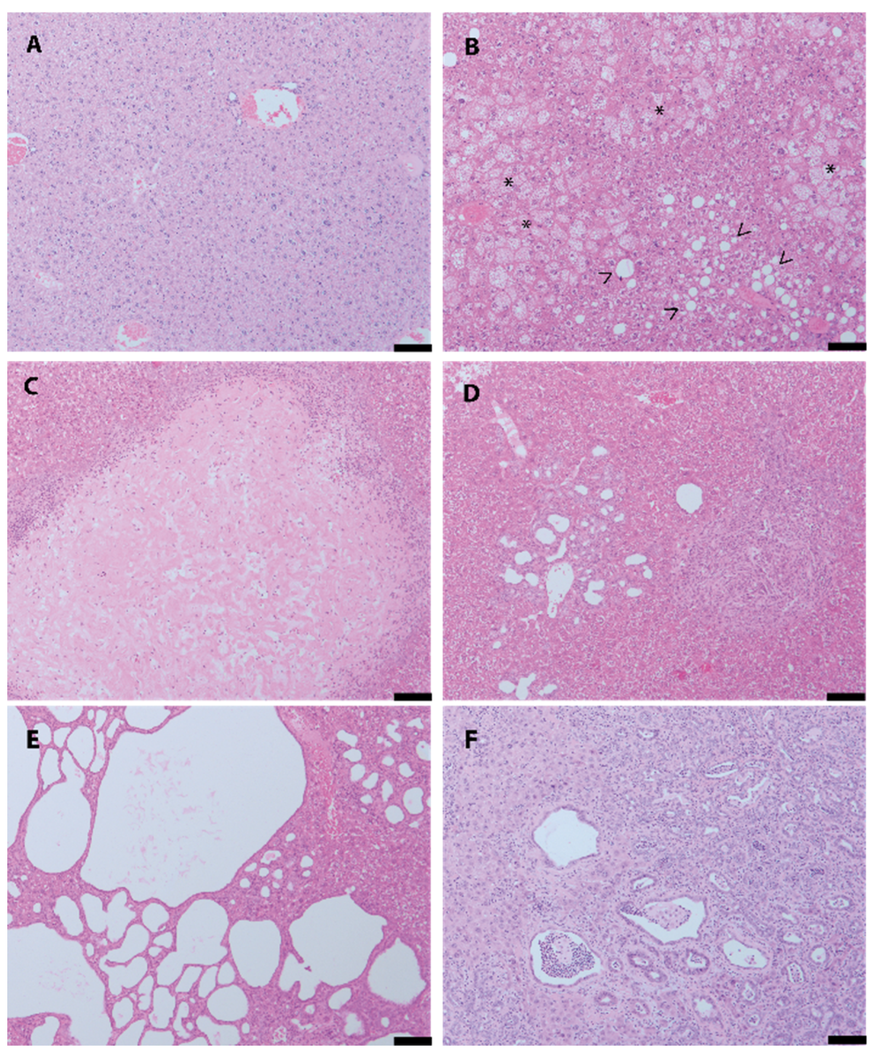 Cancers 12 02265 g002