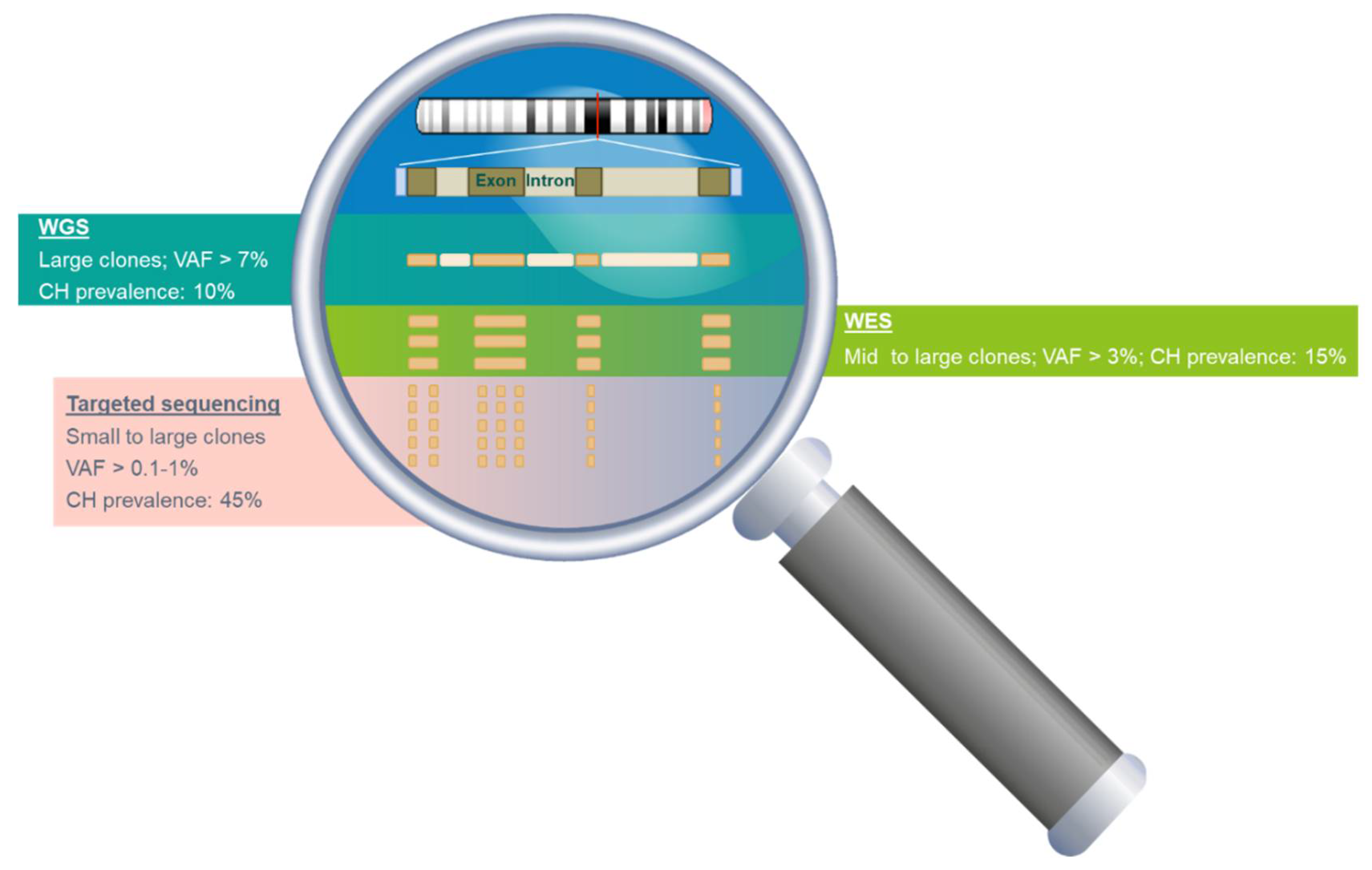 Cancers 12 02277 g001