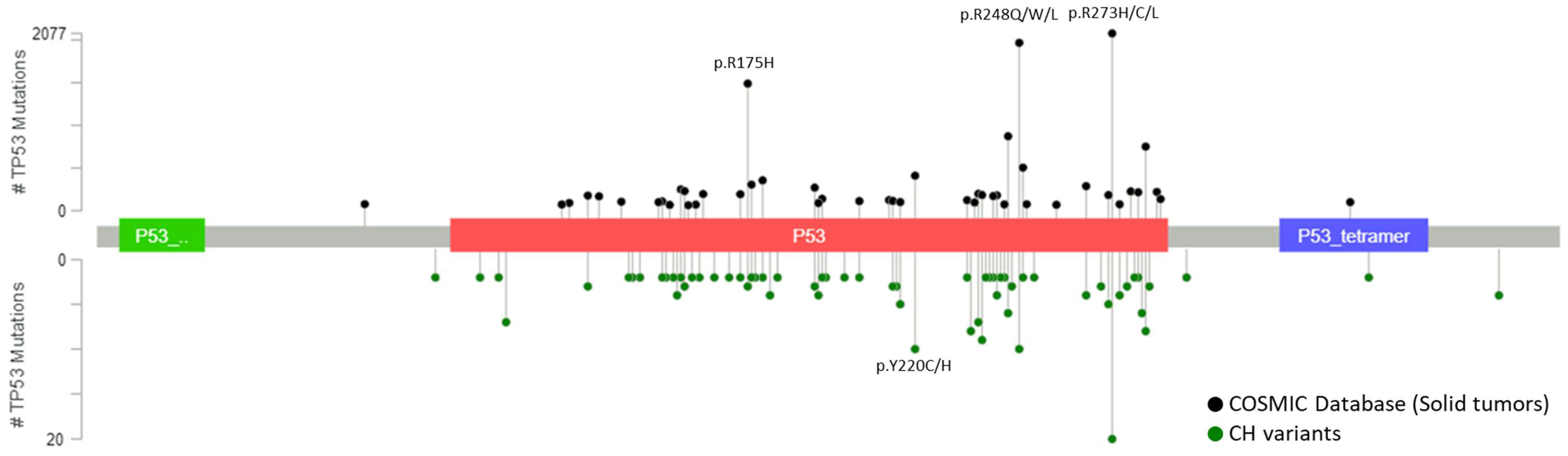 Cancers 12 02277 g003