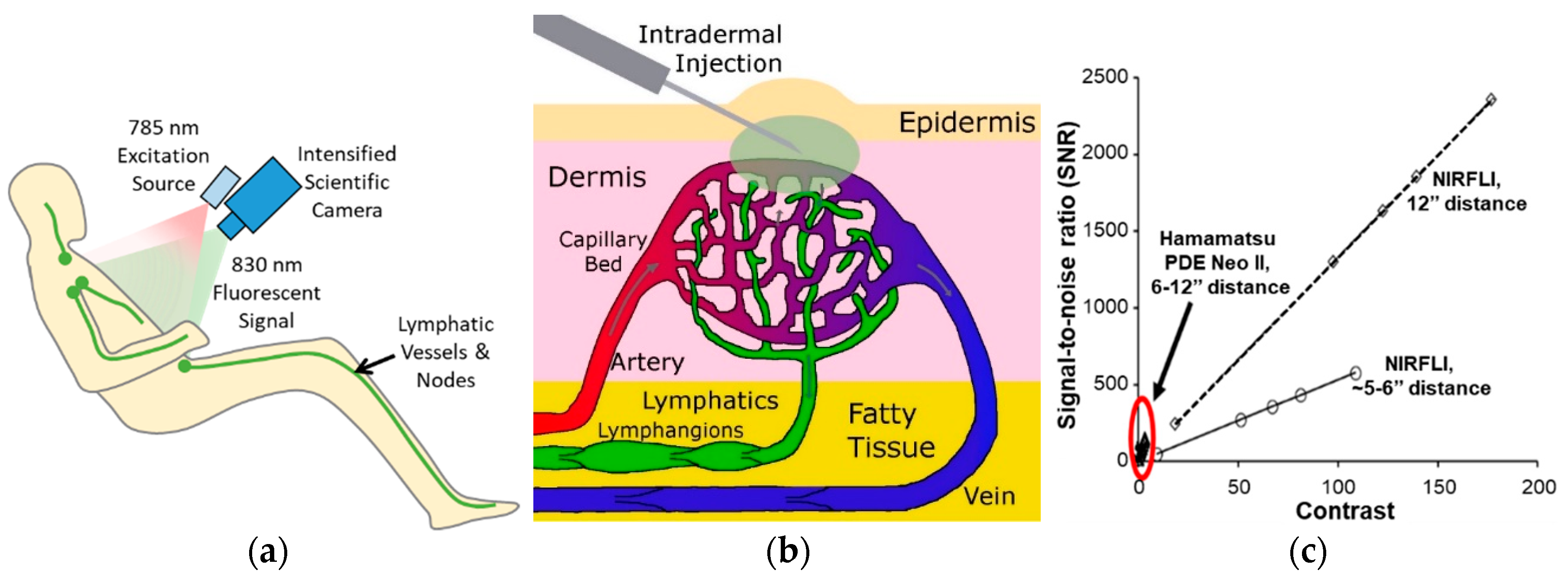 Cancers 12 02280 g003 Cancers 12 02280 g003