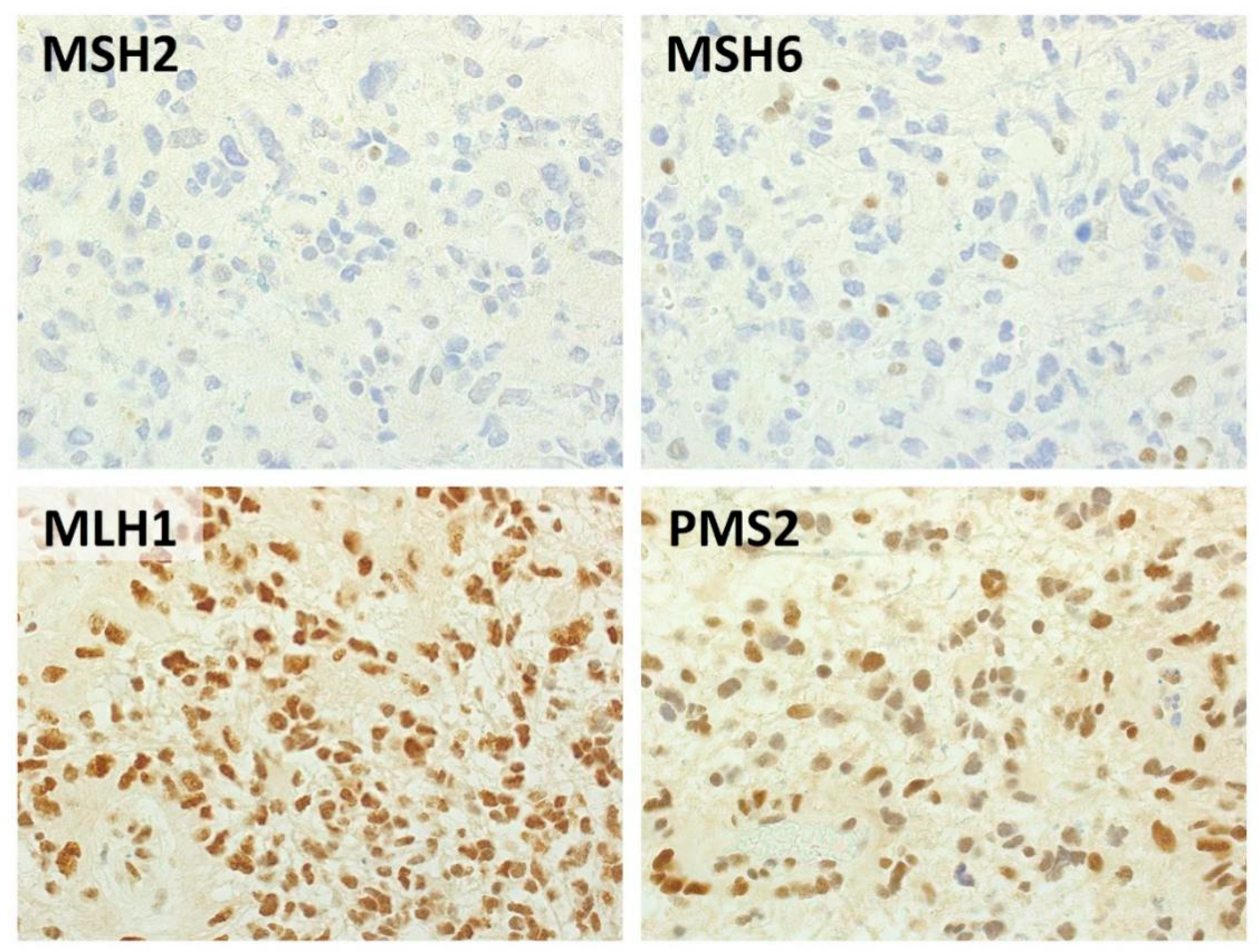 Cancers 12 02283 g001 Cancers 12 02283 g001