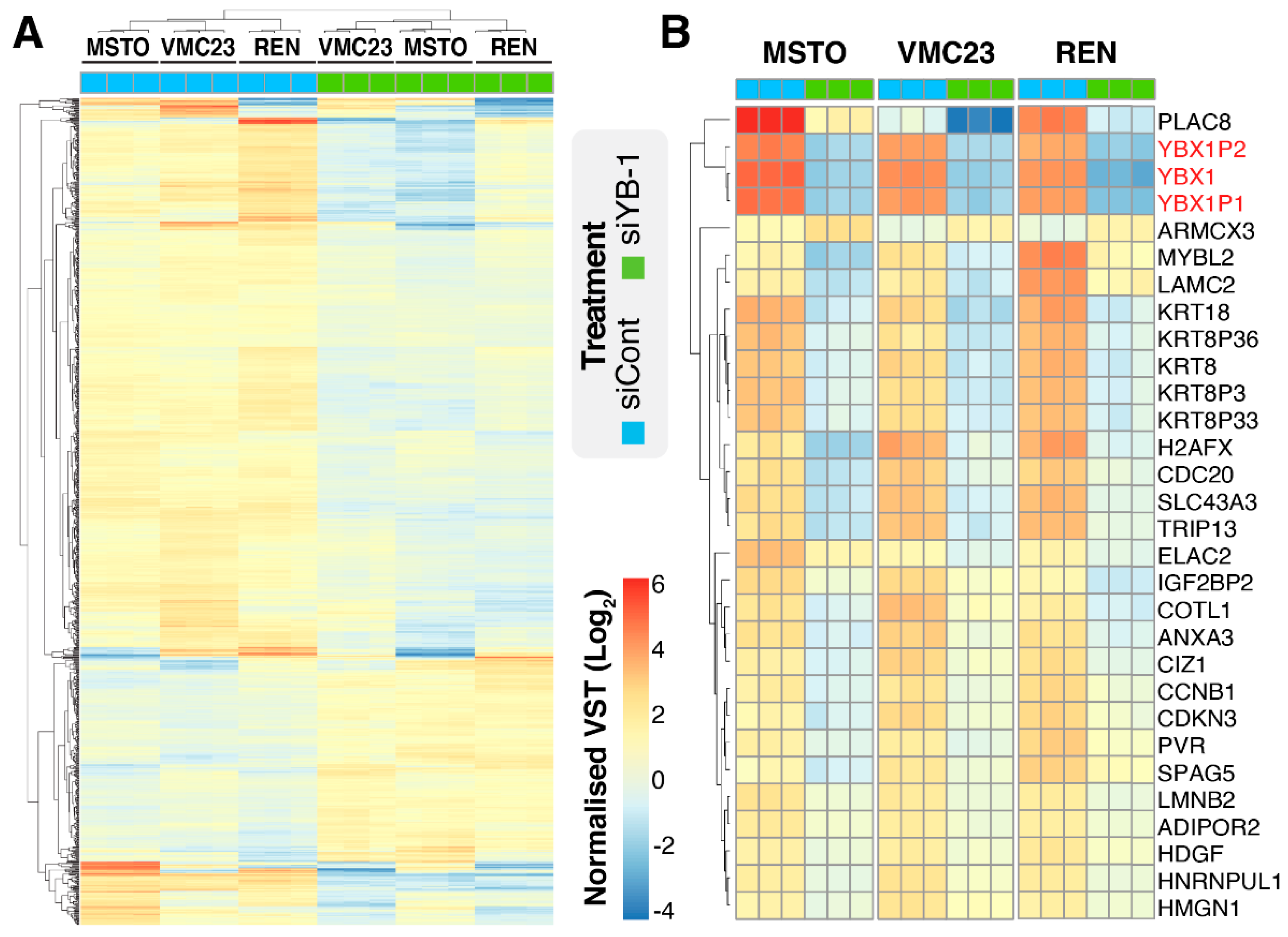 Cancers 12 02285 g001