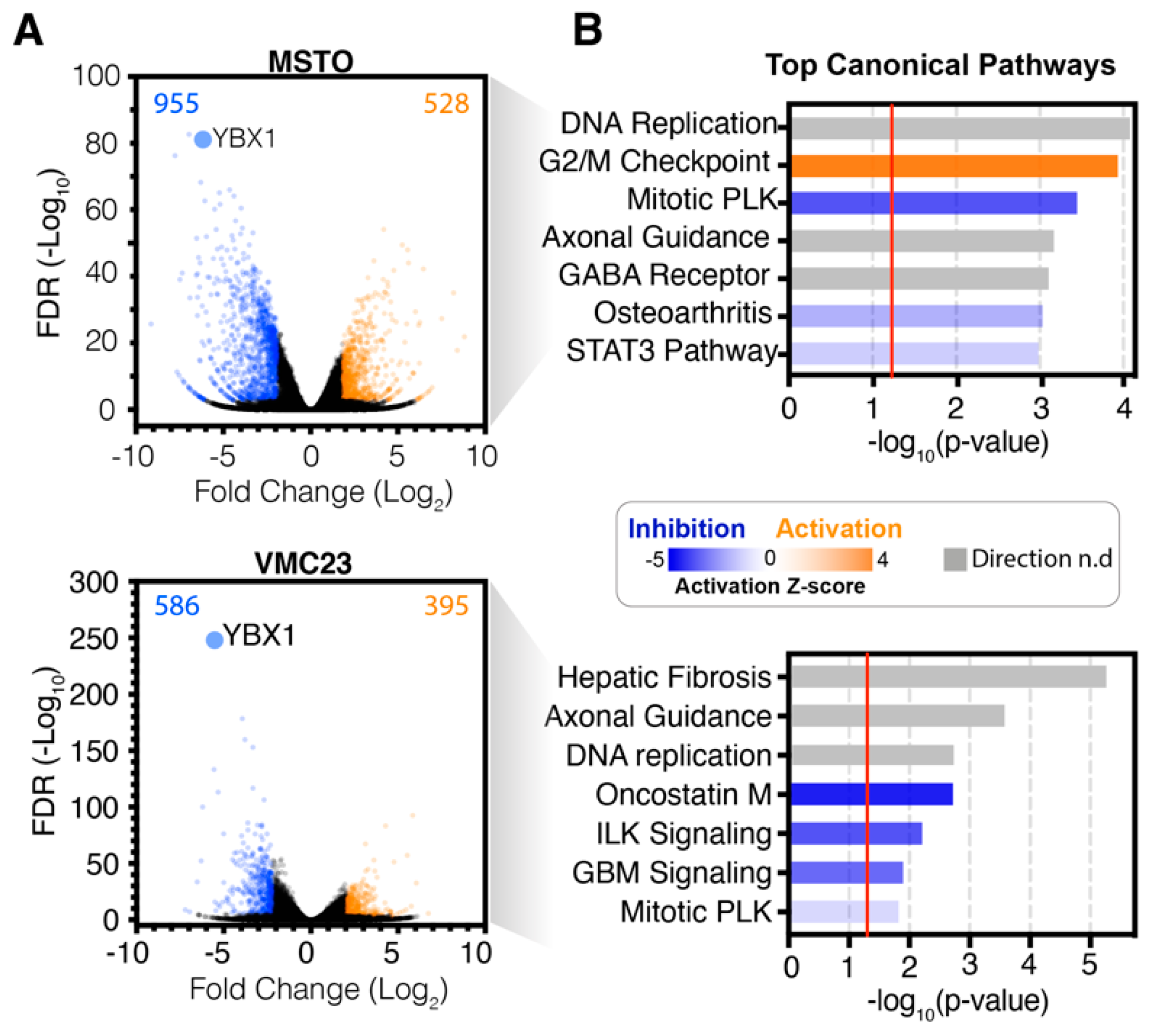 Cancers 12 02285 g002a