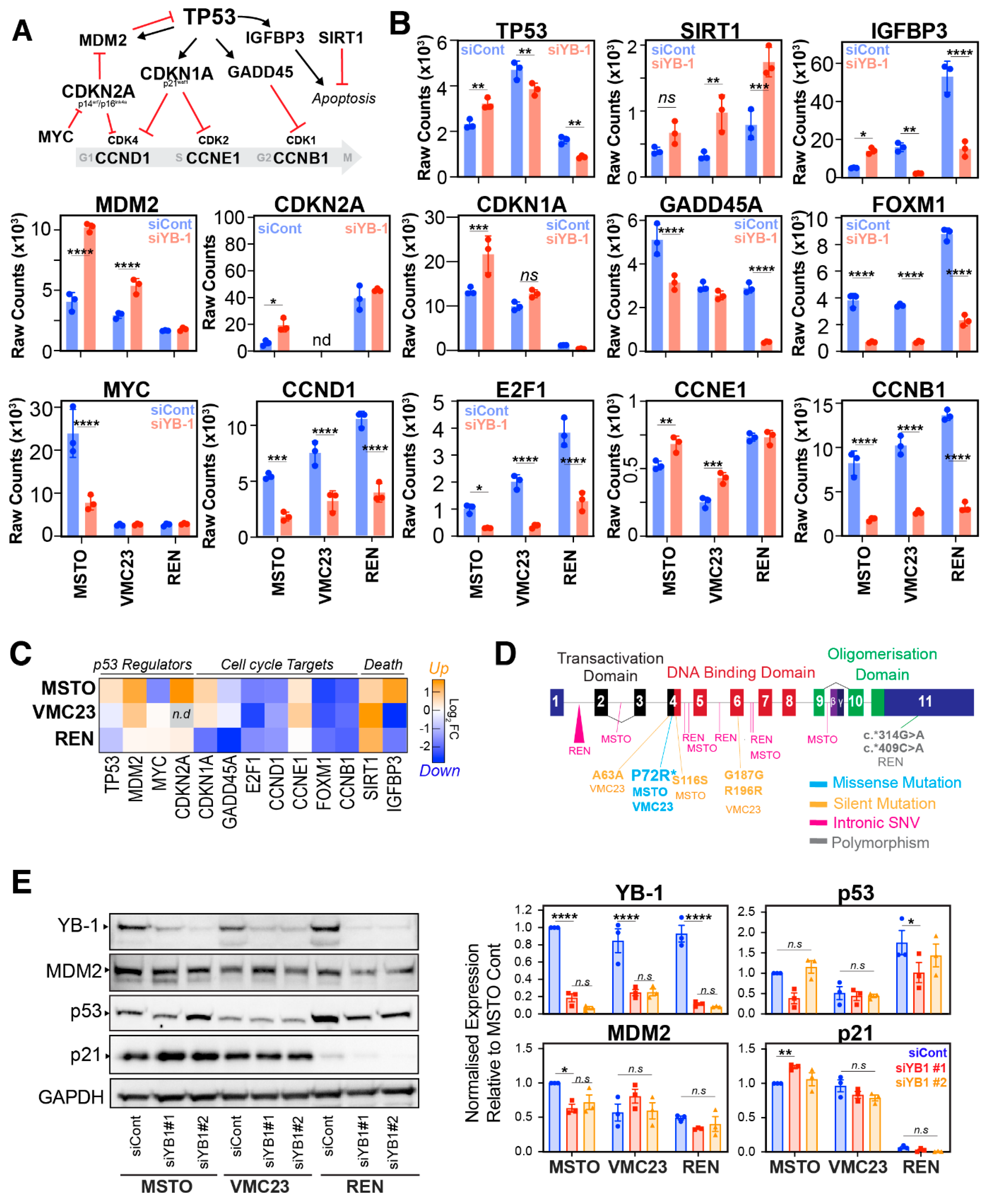 Cancers 12 02285 g004