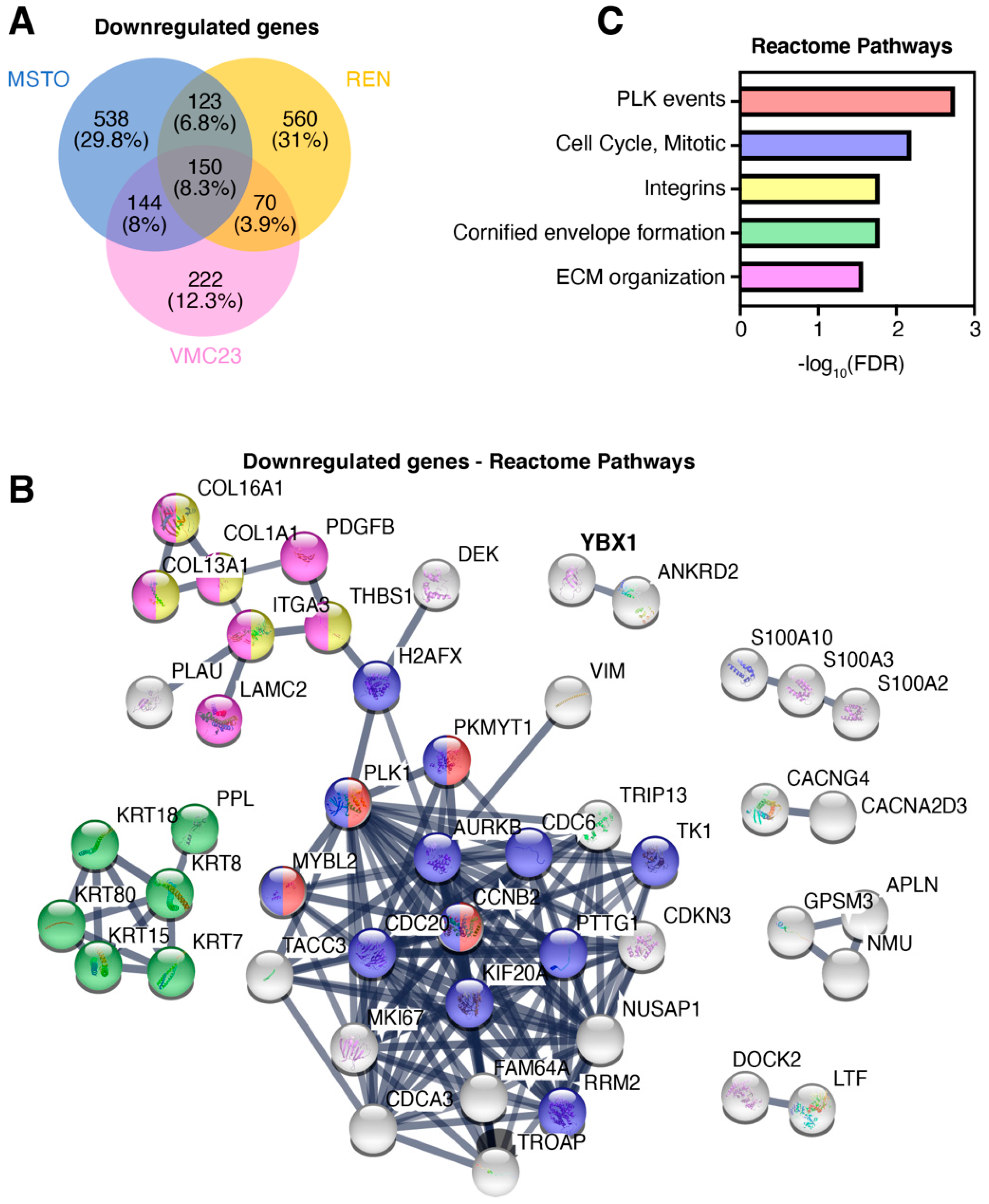 Cancers 12 02285 g005