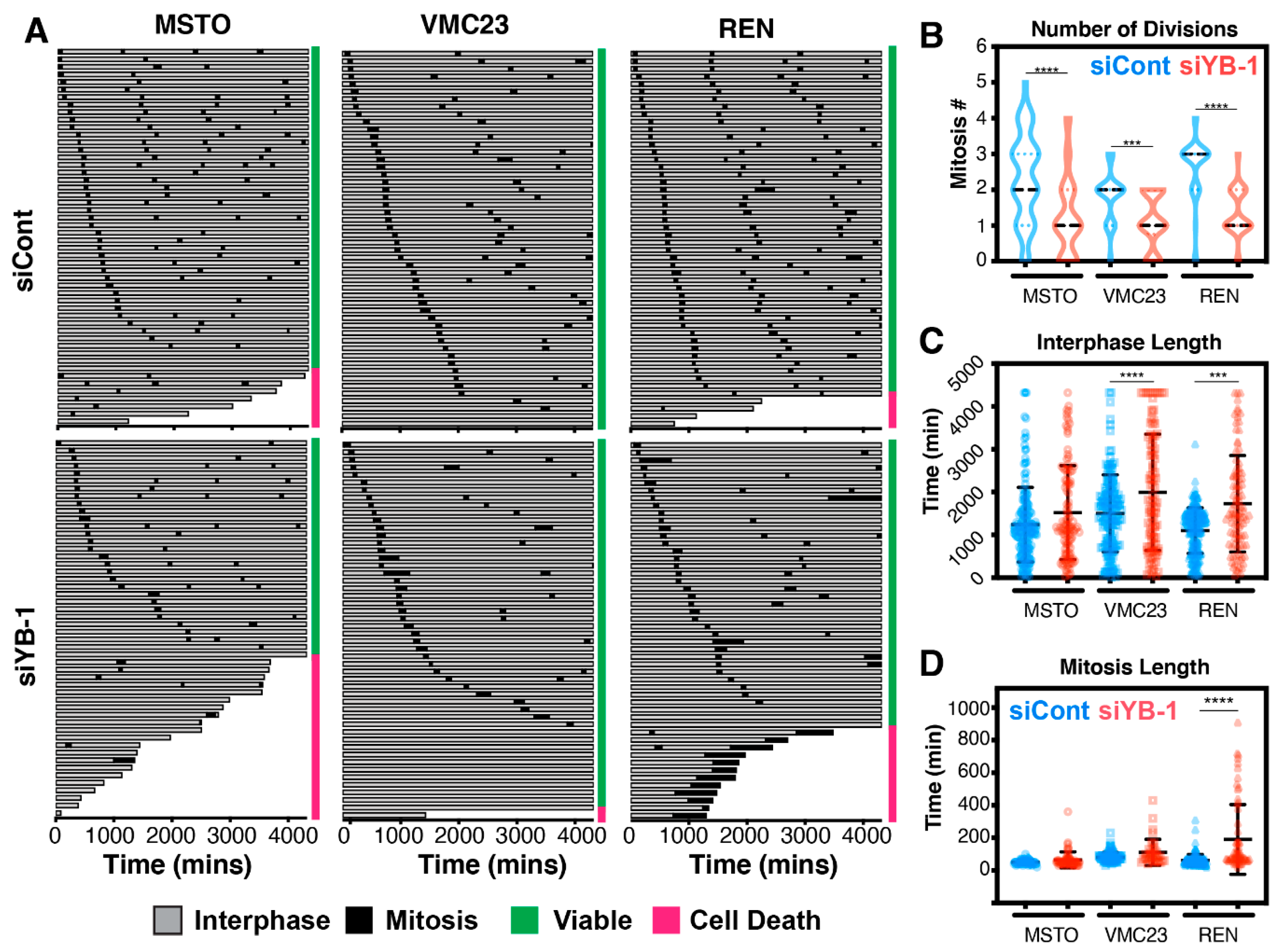 Cancers 12 02285 g007