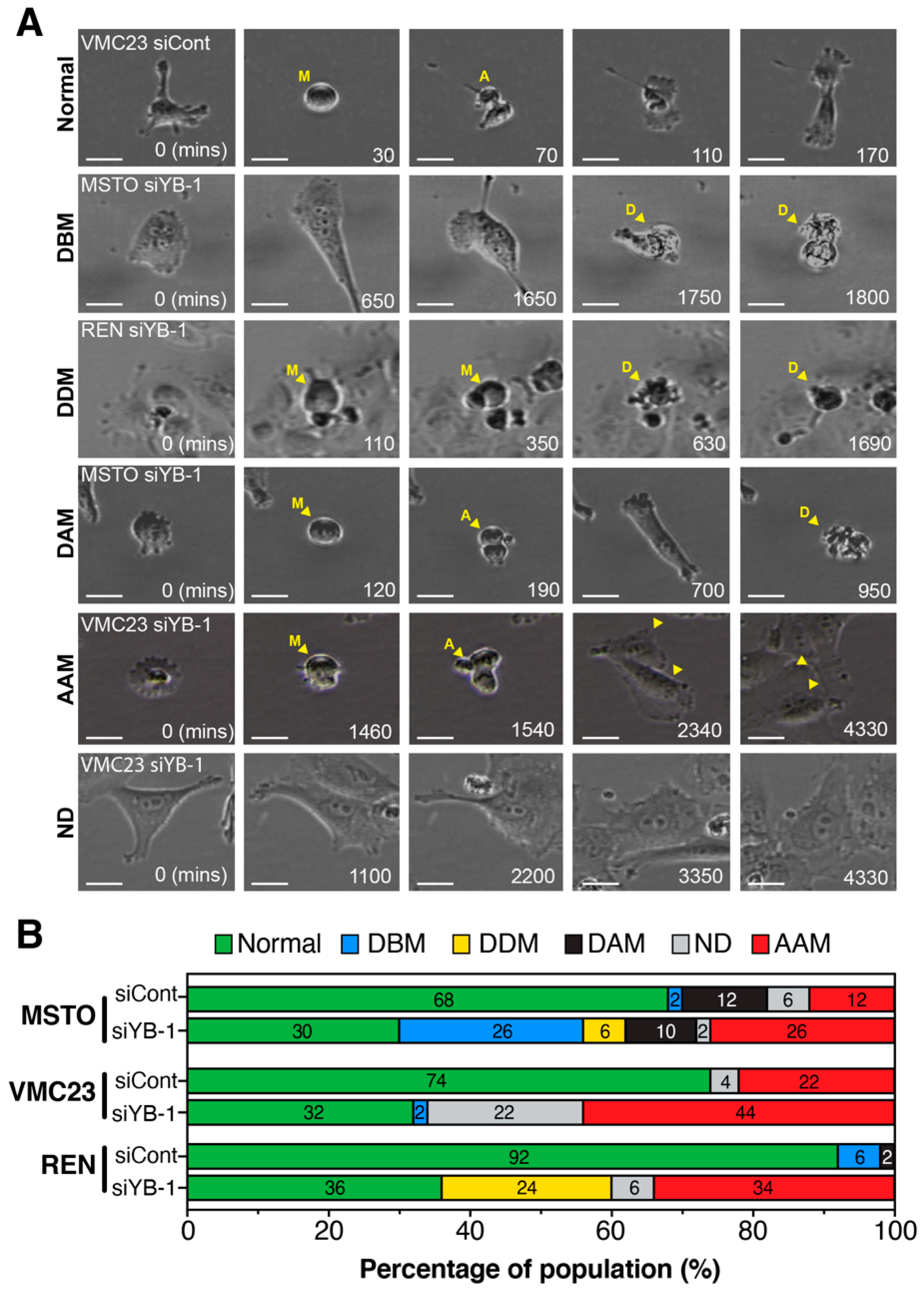 Cancers 12 02285 g008