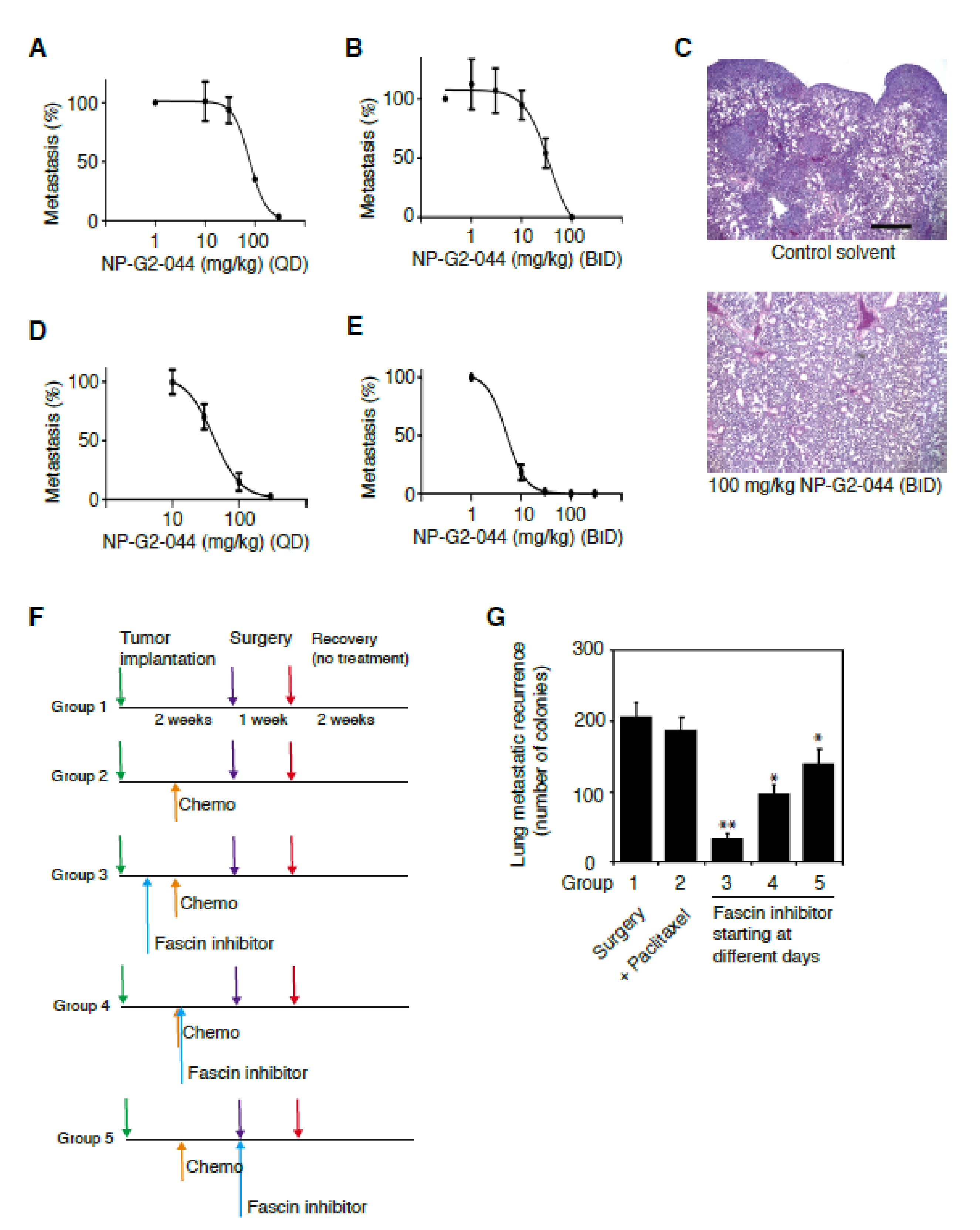 Cancers 12 02287 g002