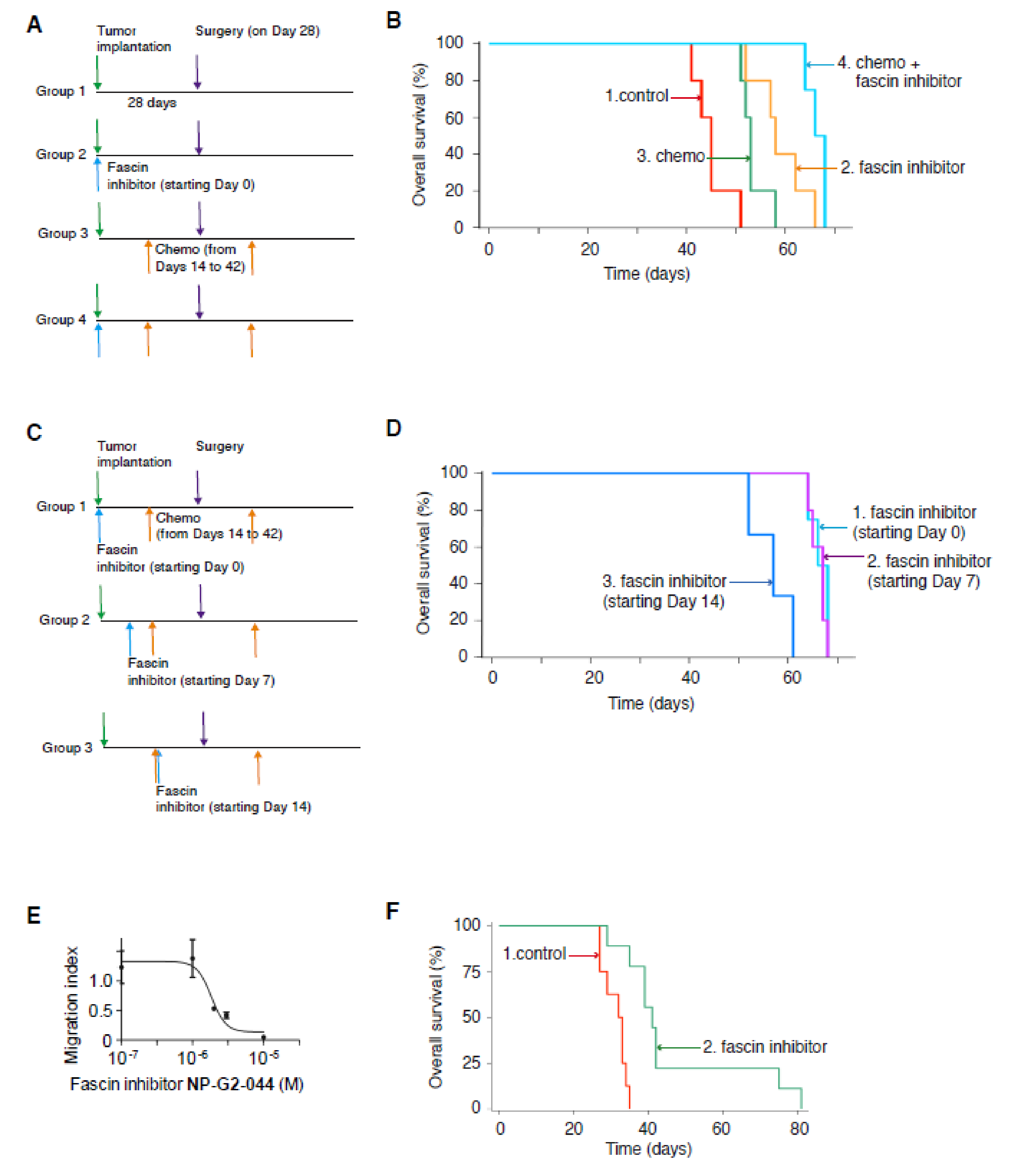 Cancers 12 02287 g003