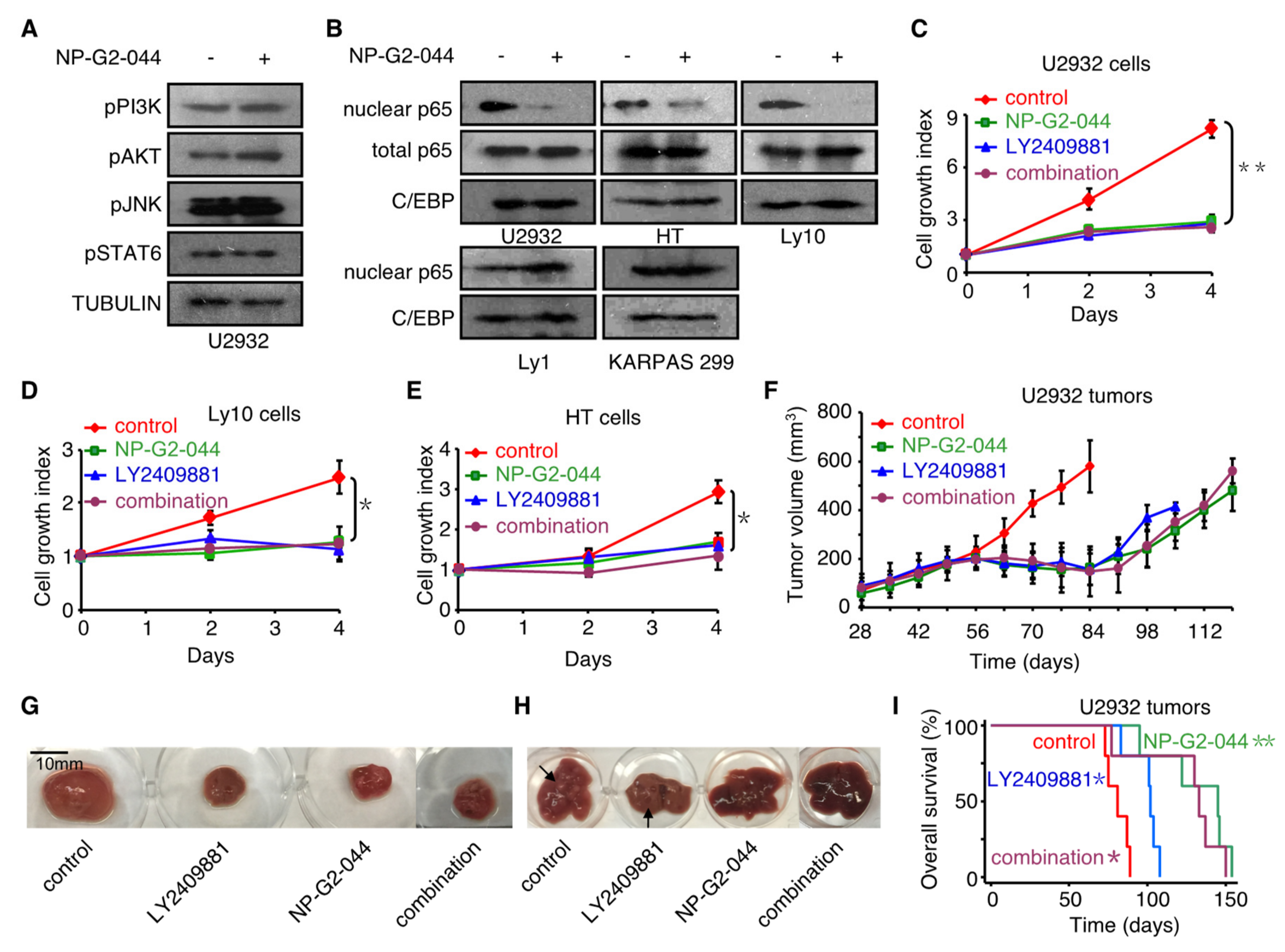 Cancers 12 02287 g005