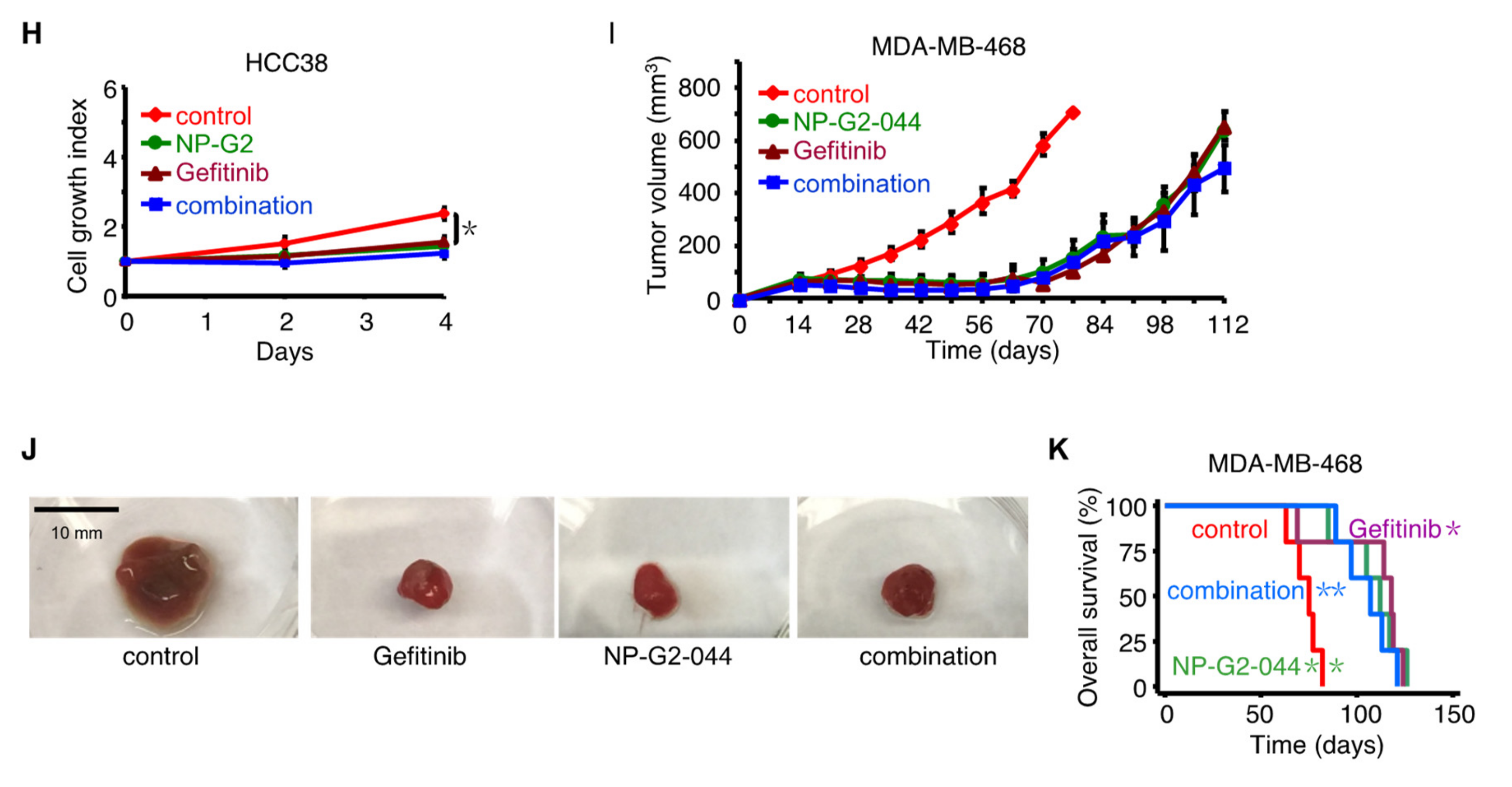 Cancers 12 02287 g006b
