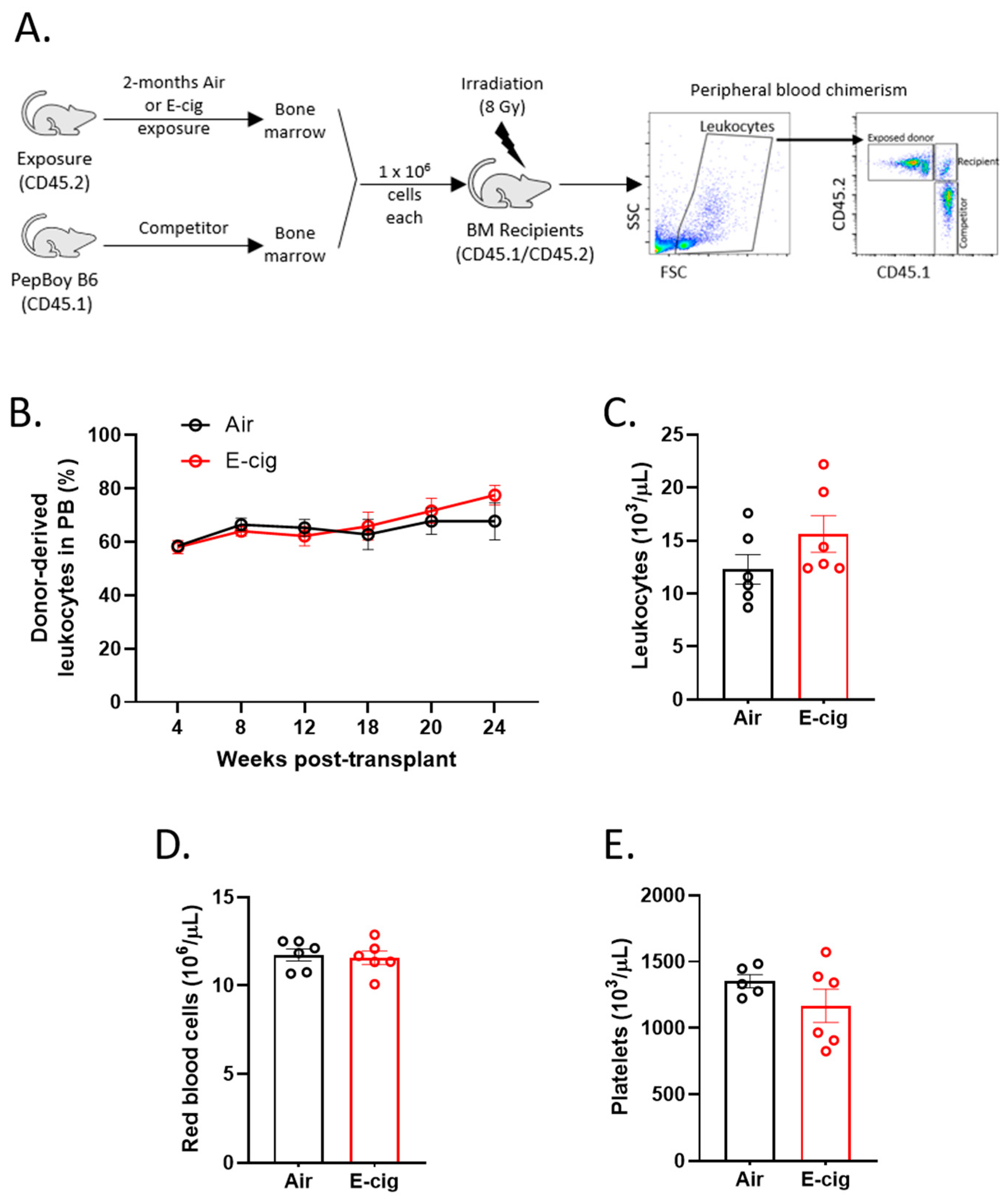 Cancers 12 02292 g004 Cancers 12 02292 g004