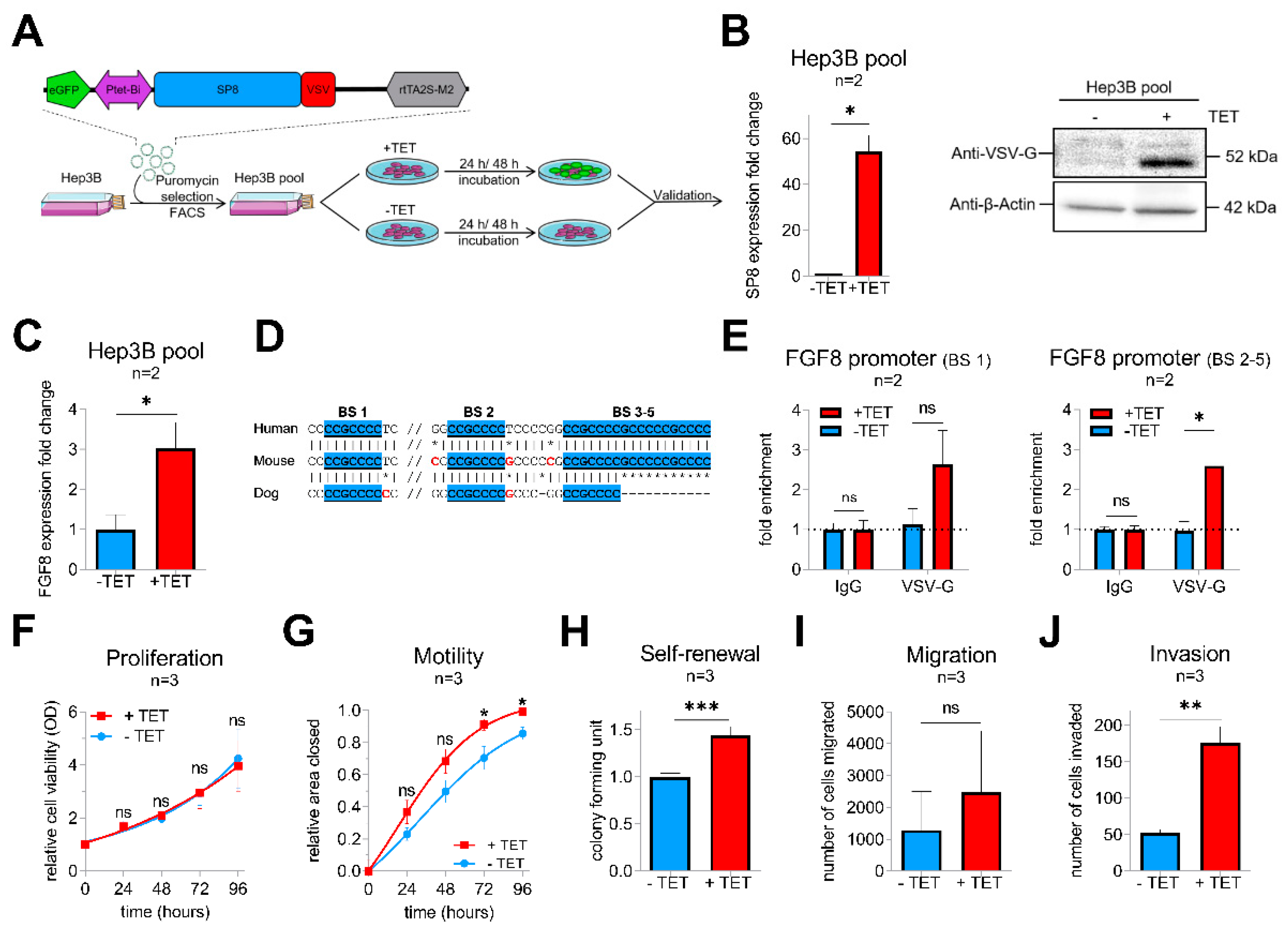 Cancers 12 02294 g002