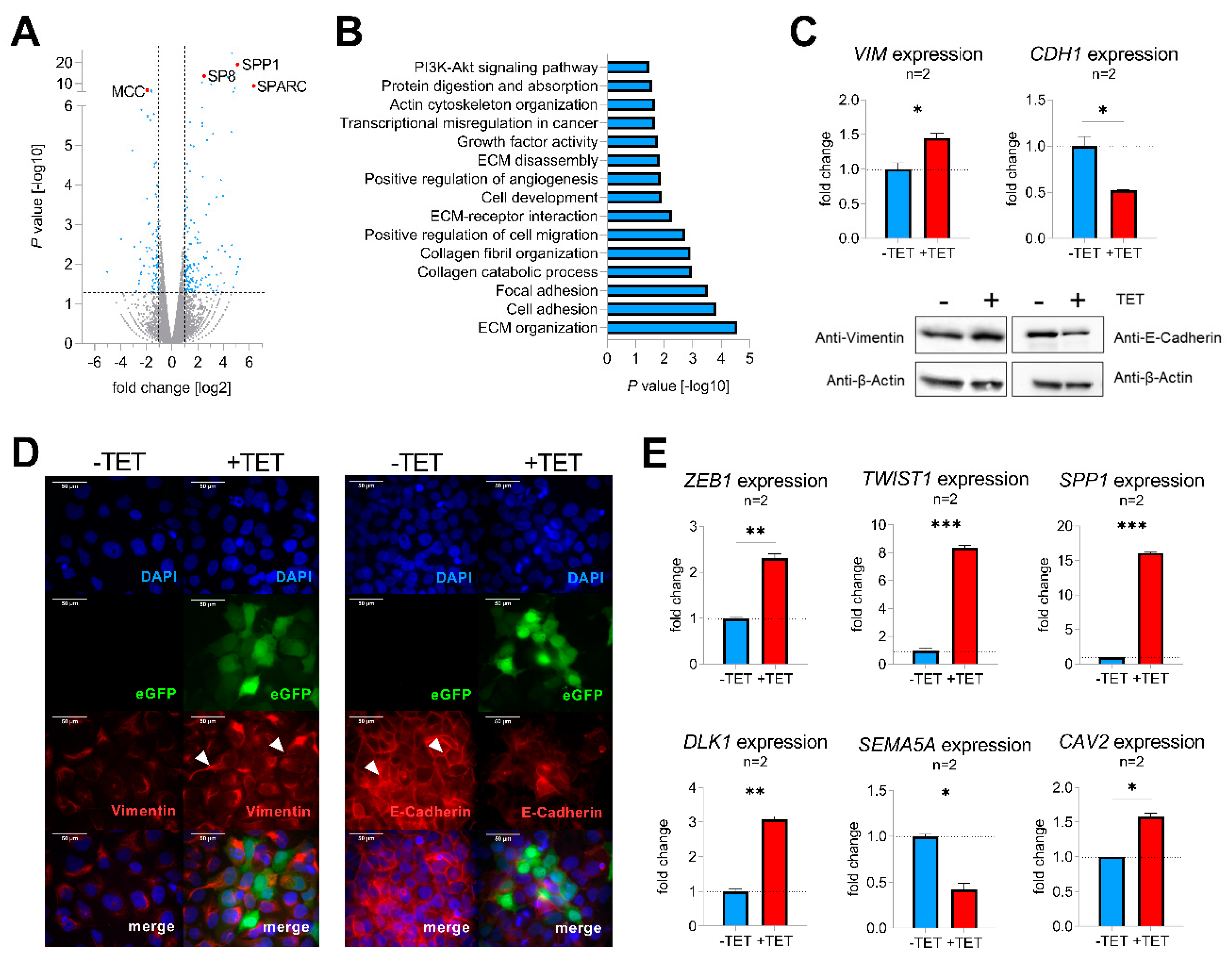 Cancers 12 02294 g003