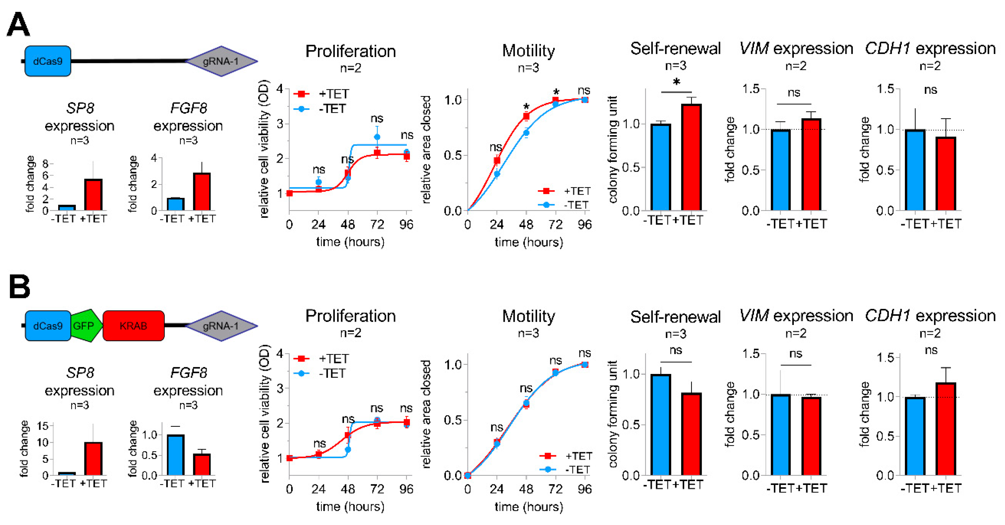 Cancers 12 02294 g004