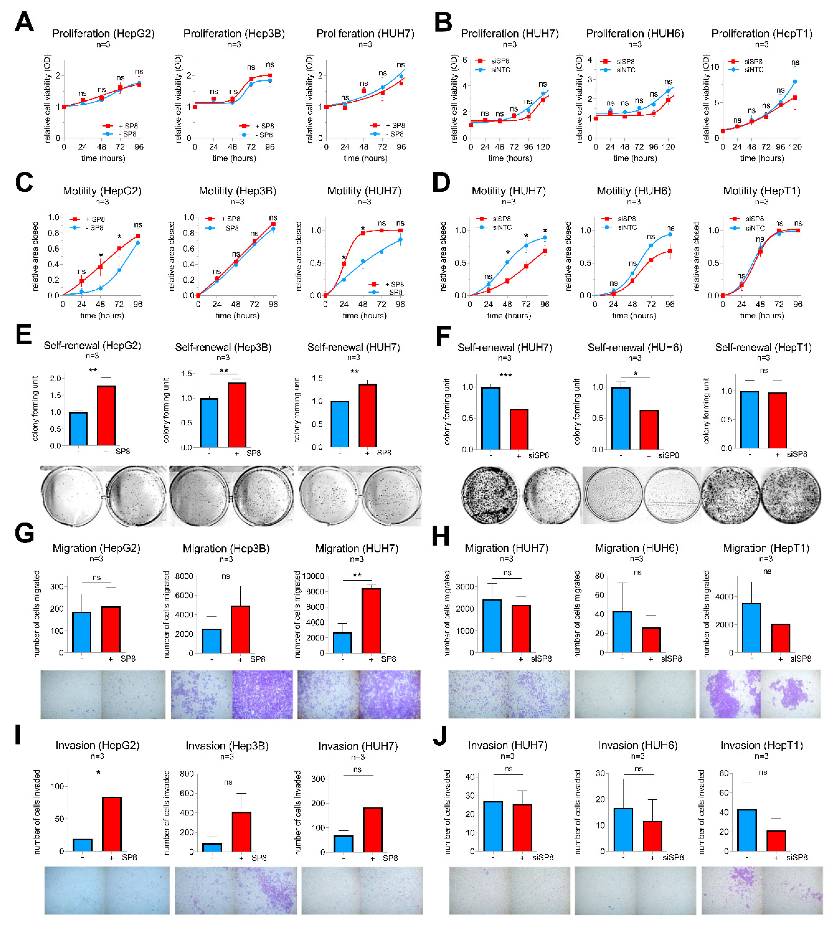 Cancers 12 02294 g005
