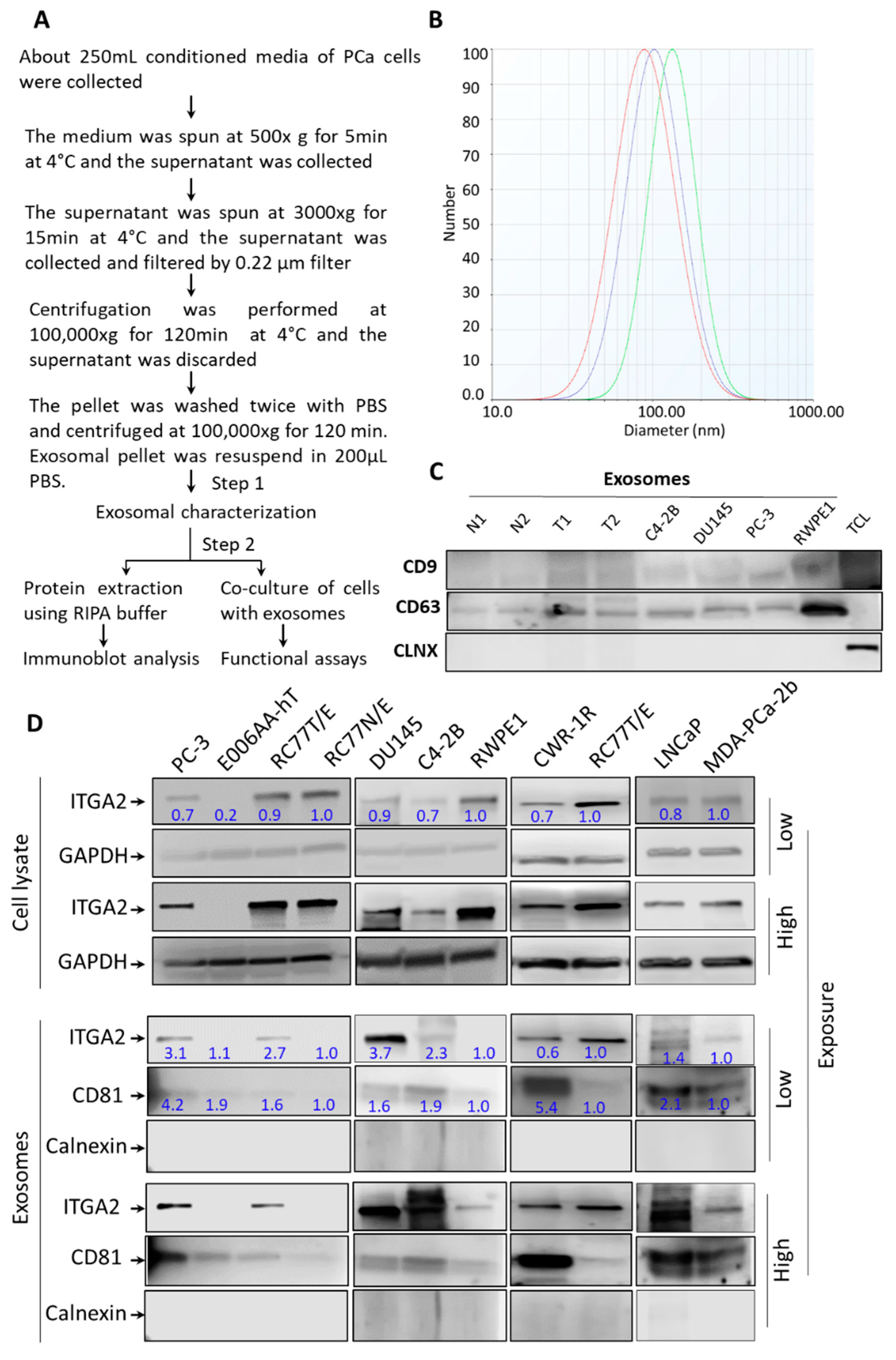 Cancers 12 02300 g001 Cancers 12 02300 g001