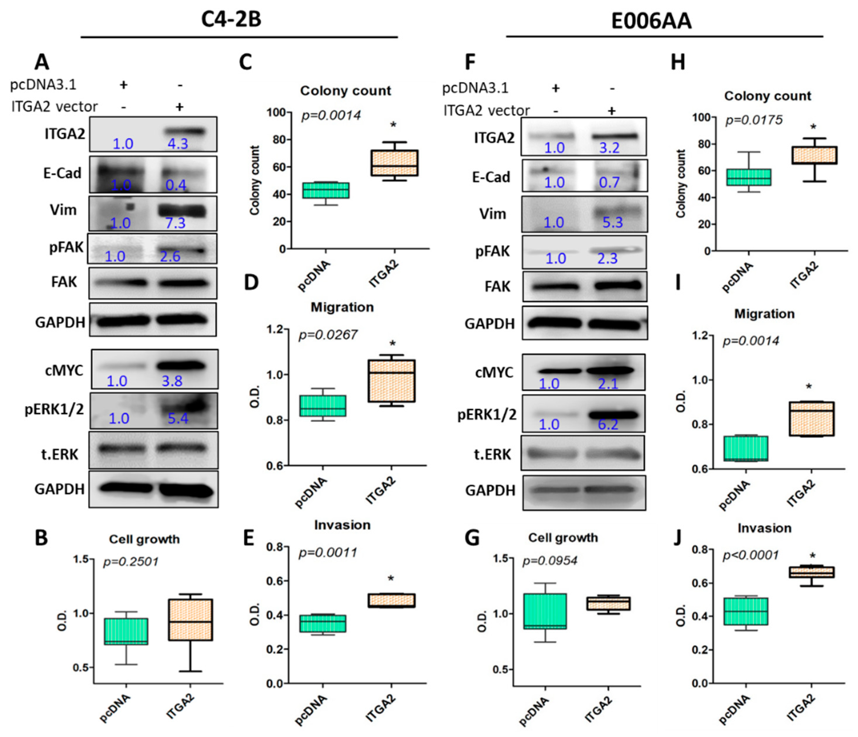 Cancers 12 02300 g005 Cancers 12 02300 g005